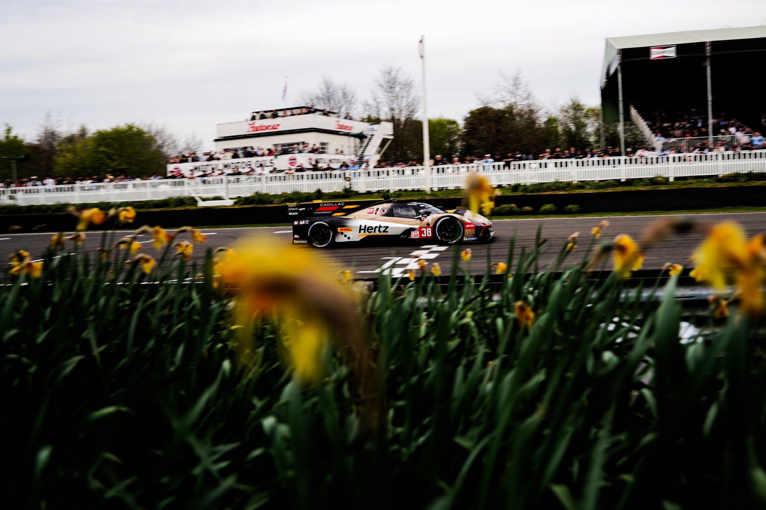 82nd Goodwood MM 186.jpg