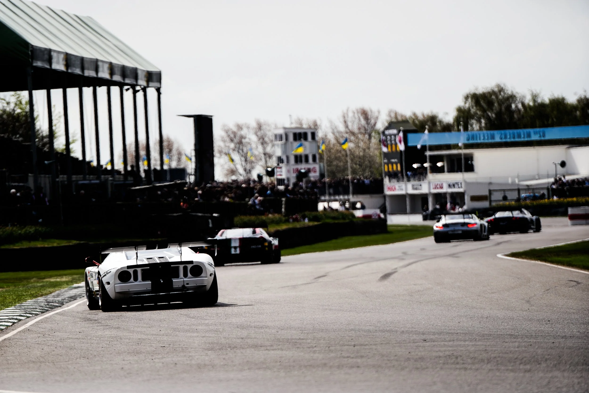 82nd Goodwood MM 316.jpg