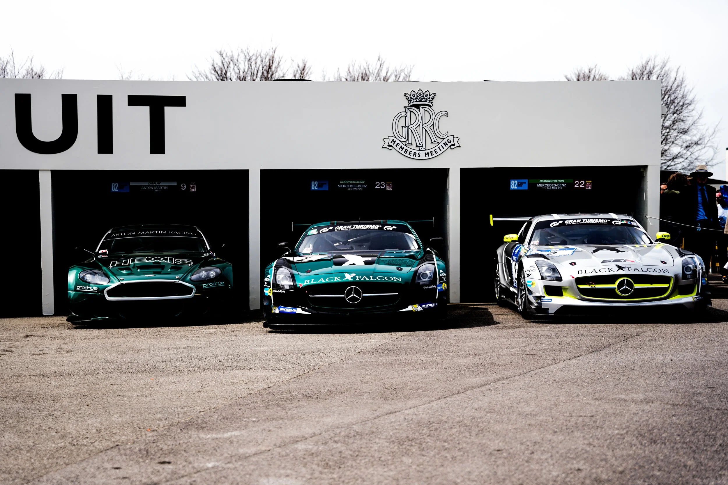 82nd Goodwood MM 93.jpg