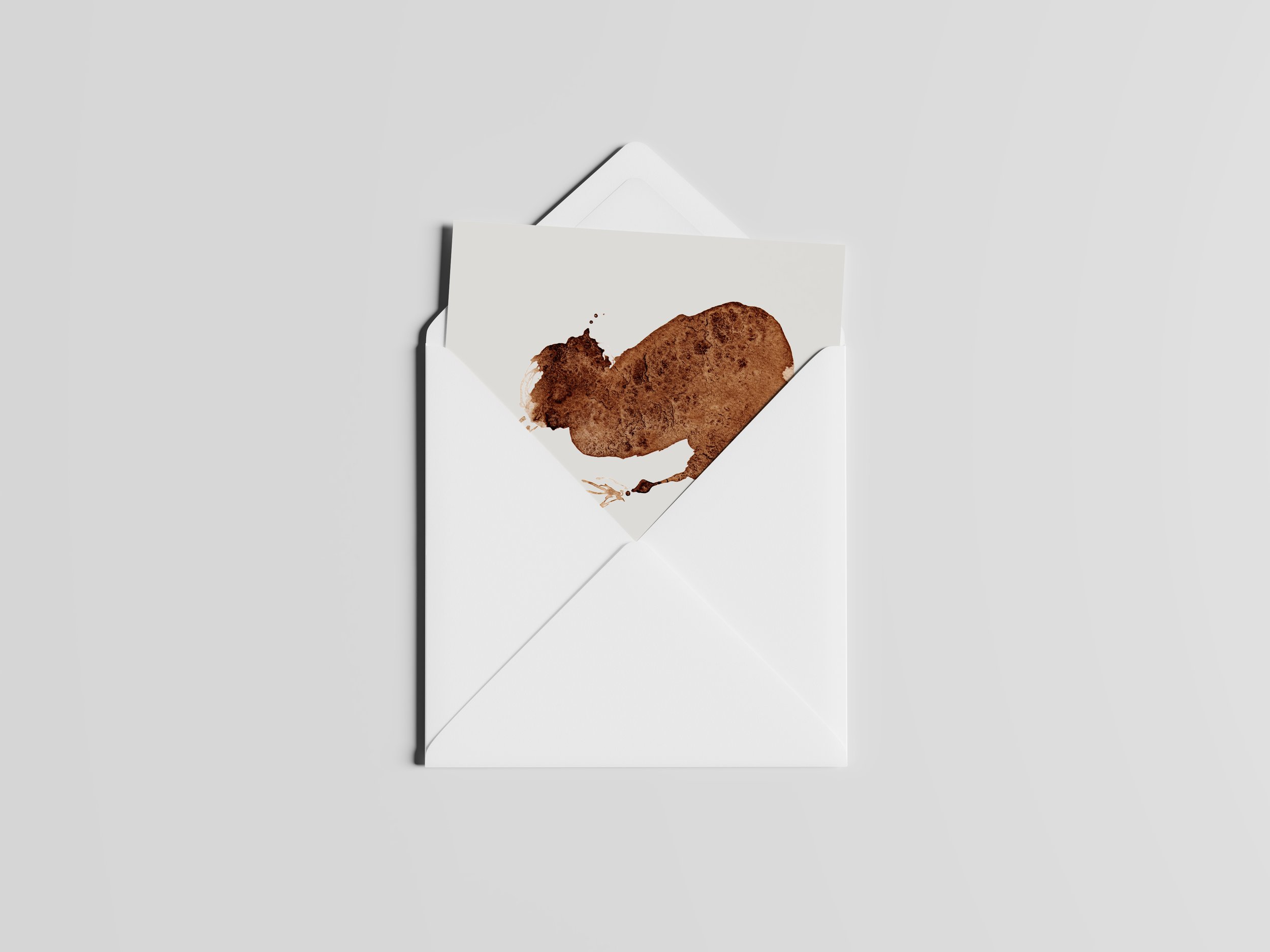 kiwi in envelope.jpg
