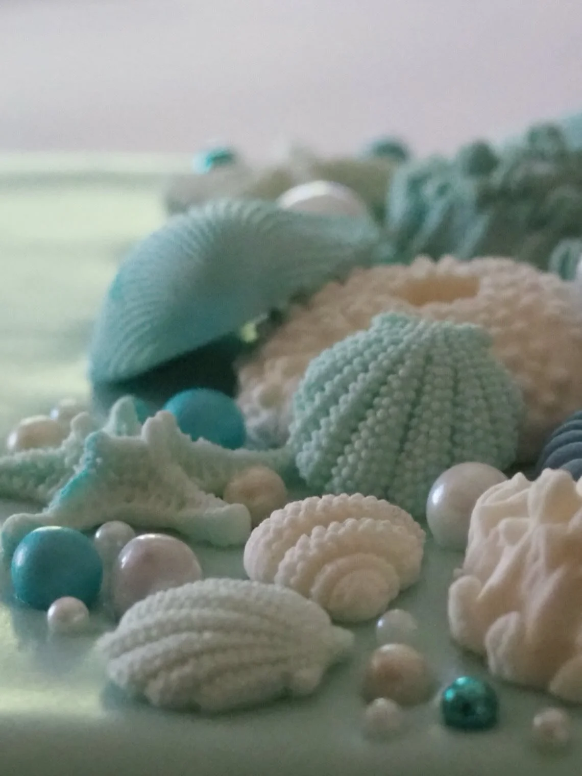 🐚 UP CLOSE &bull; to the prettiest sea shells 🦪💙

 #ipreview via @preview.app