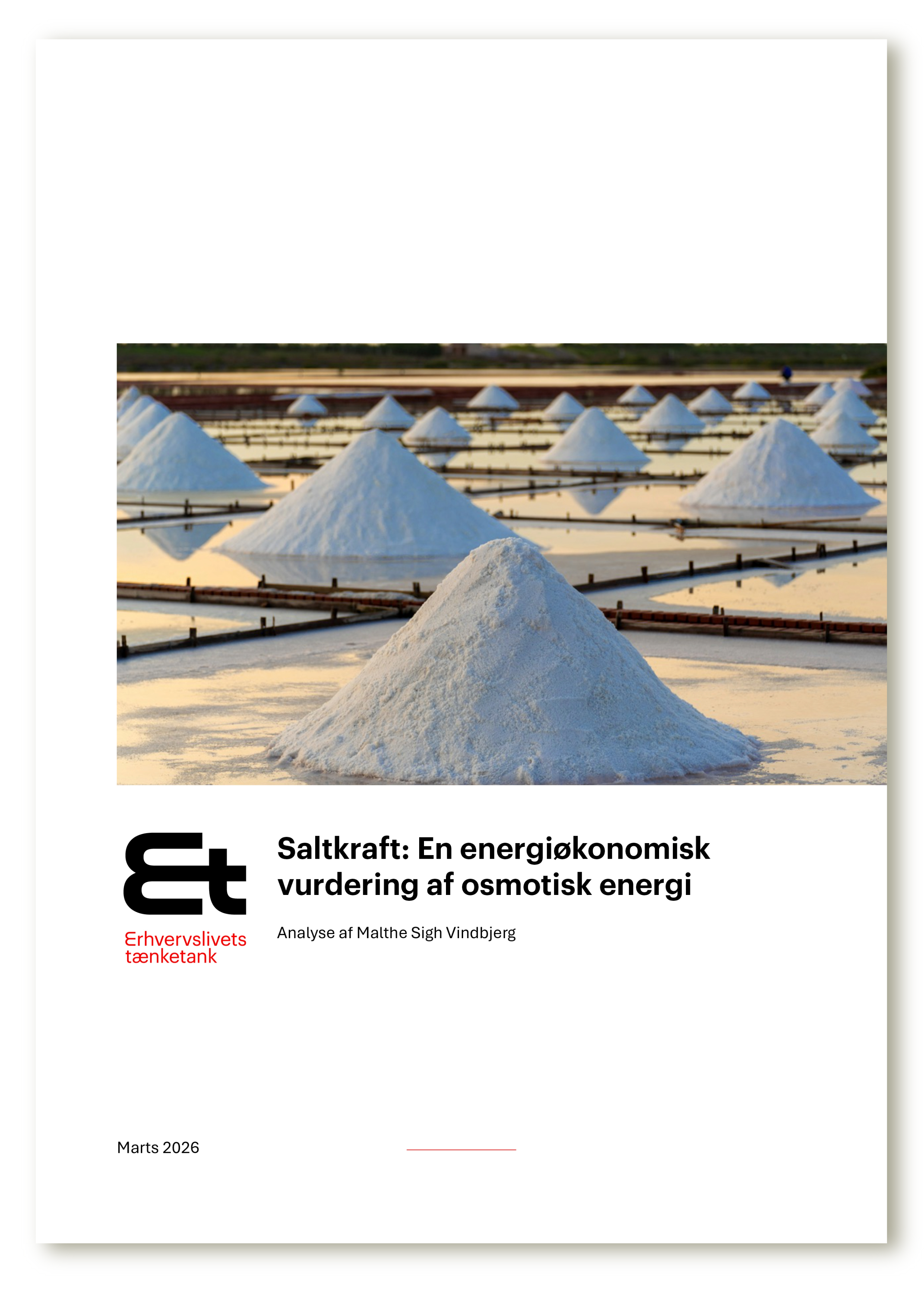 Saltkraft: En energiøkonomisk vurdering af osmotisk energi