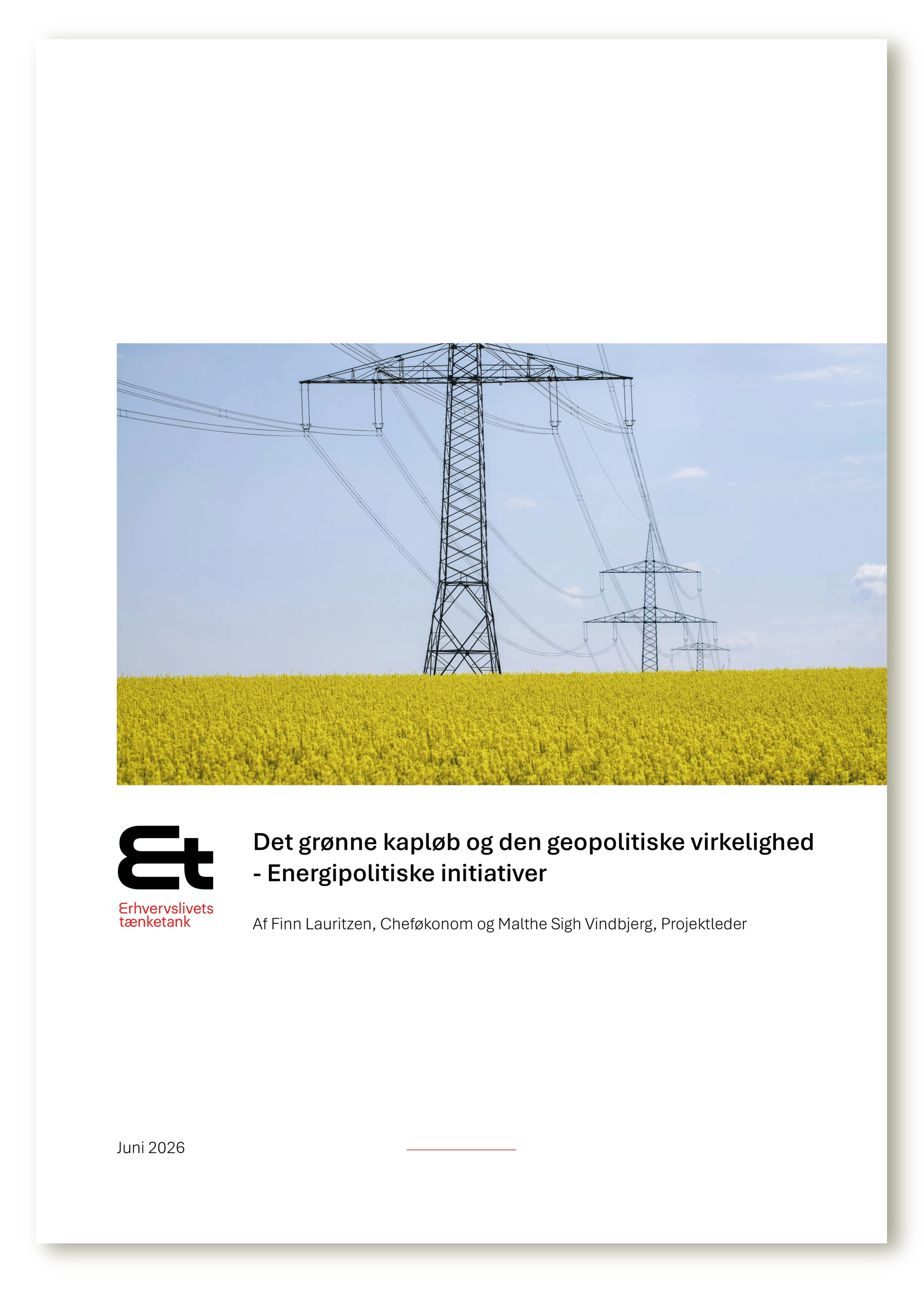 Det grønne kapløb og den geopolitiske virkelighed - Energipolitiske initiativer