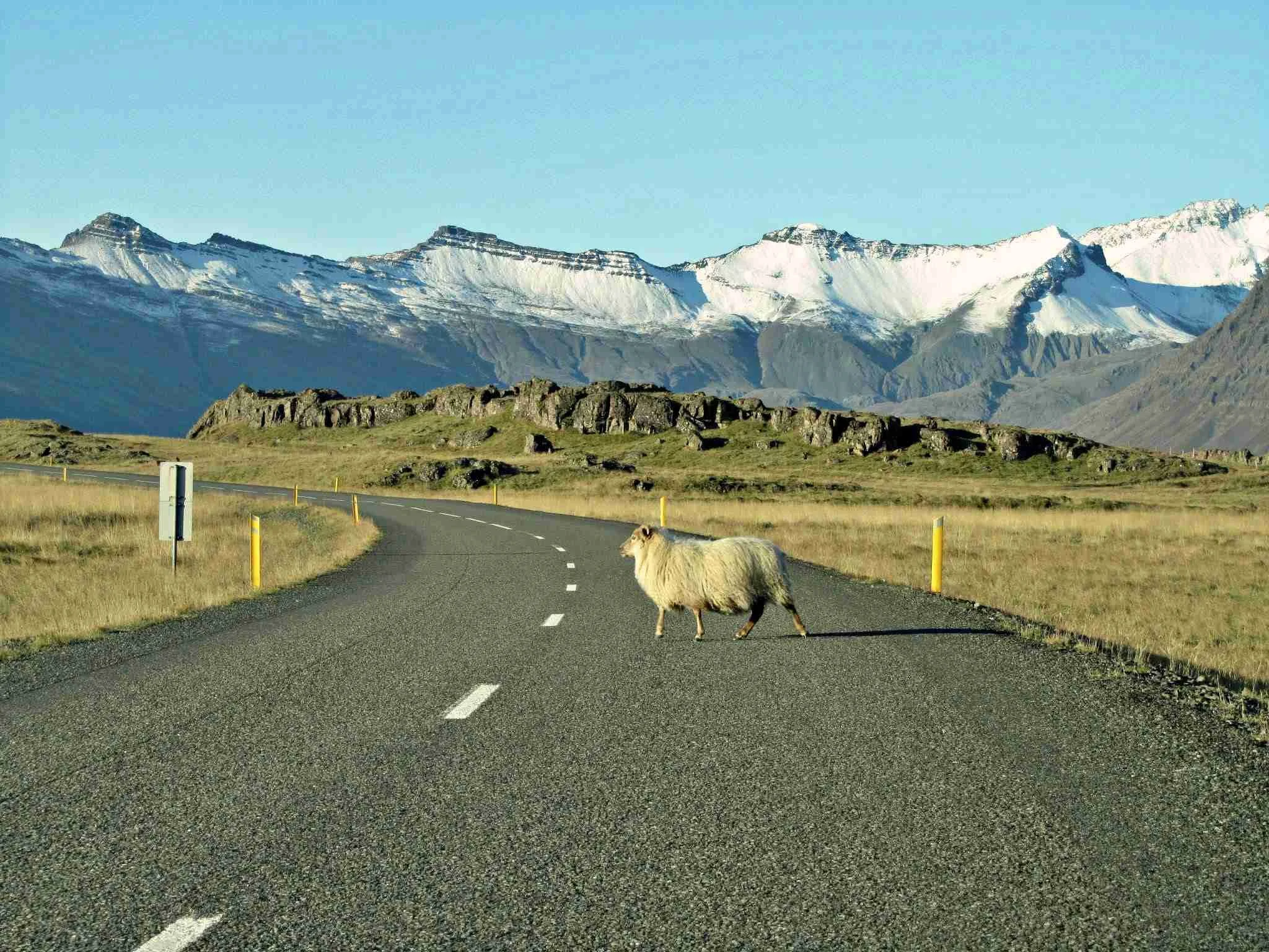 Iceland in Summer: Weather, Things to Do &amp; What to Actually Expect