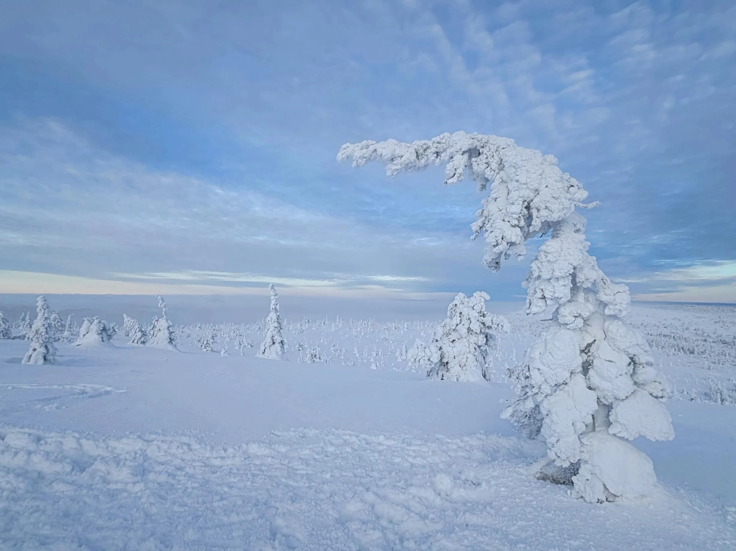 Winter Activities in Rovaniemi (That Don’t Involve Santa)