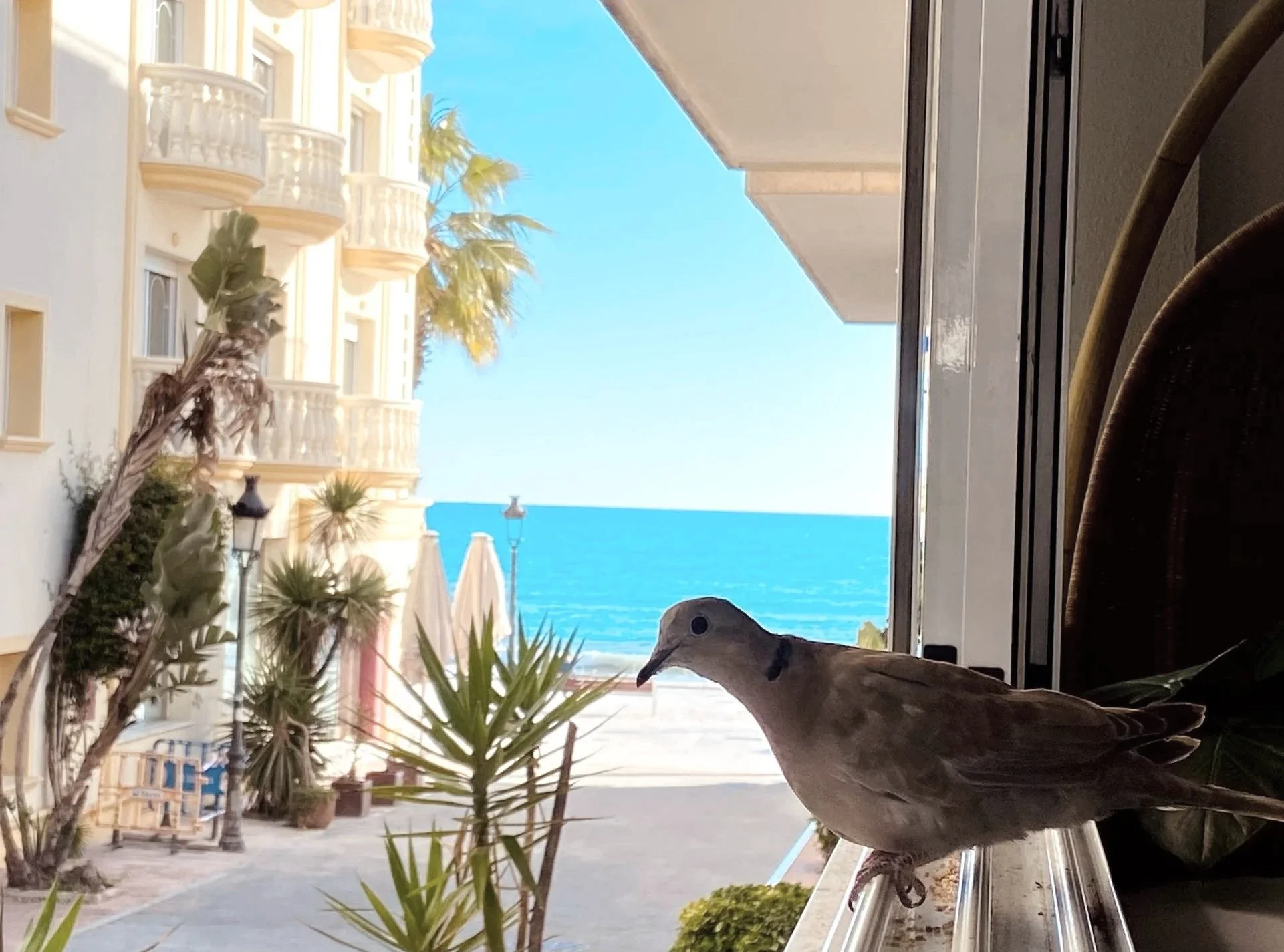 Beach Hotels Near Barcelona: Our Picks for Sleeping by the Sea (by People who Live Here)