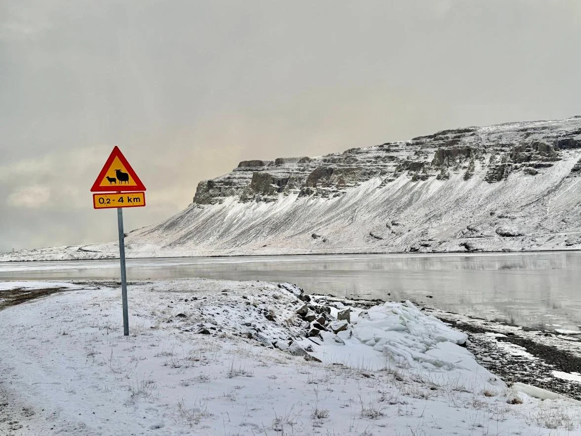 Iceland Road Trip: The South Ring Road from Reykjavík to Höfn (+ Easy Additions for a Self-Drive Tour)