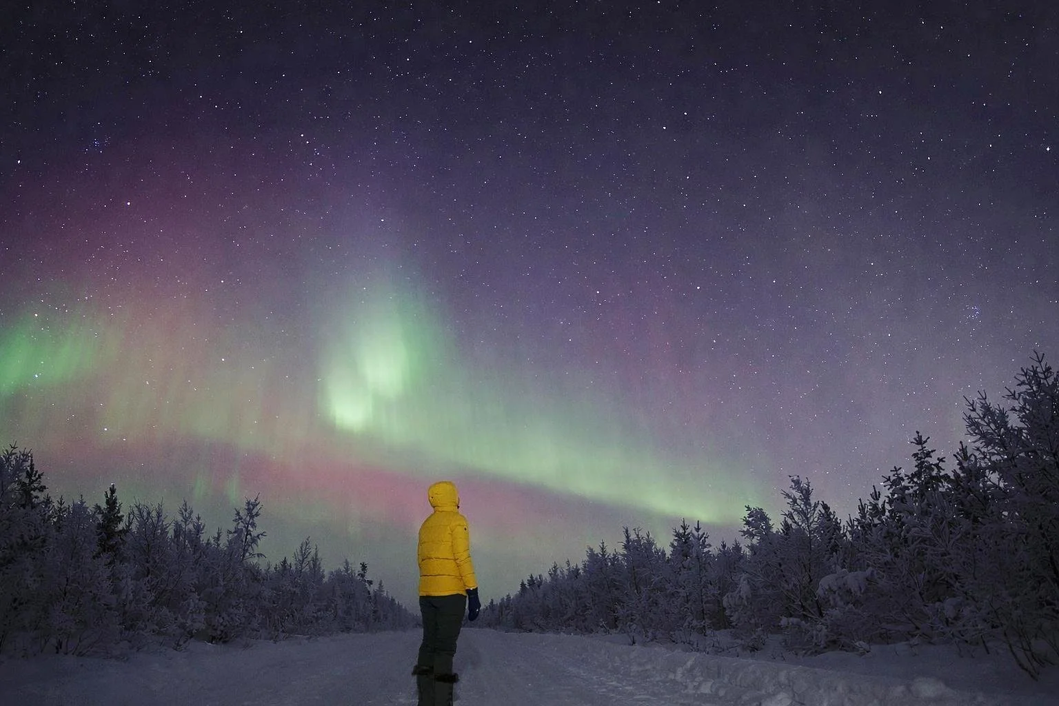 Best Time to Visit Lapland (Finland, Sweden &amp; Norway)