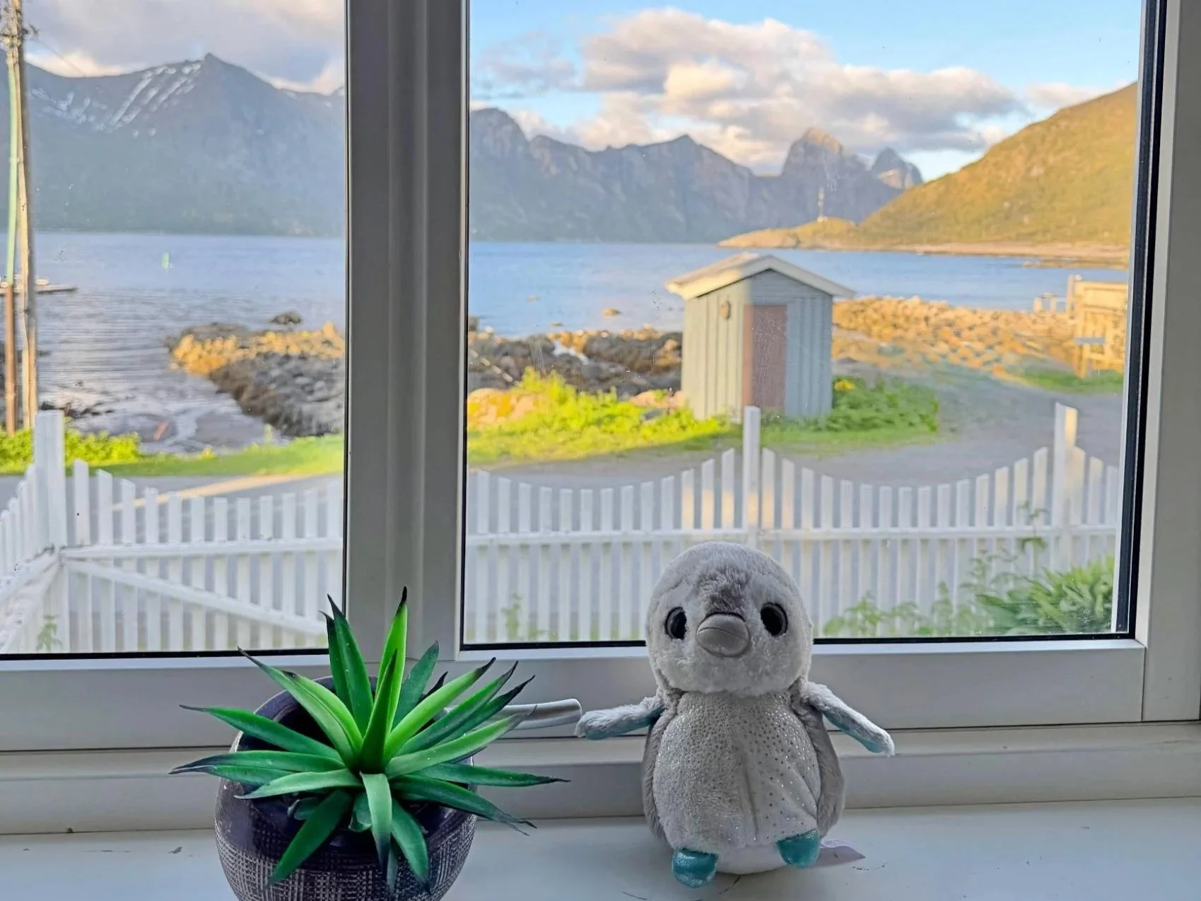 Best Hotels in Senja, Norway: Where to Stay on Norway's Most Dramatic &amp; Underrated Island