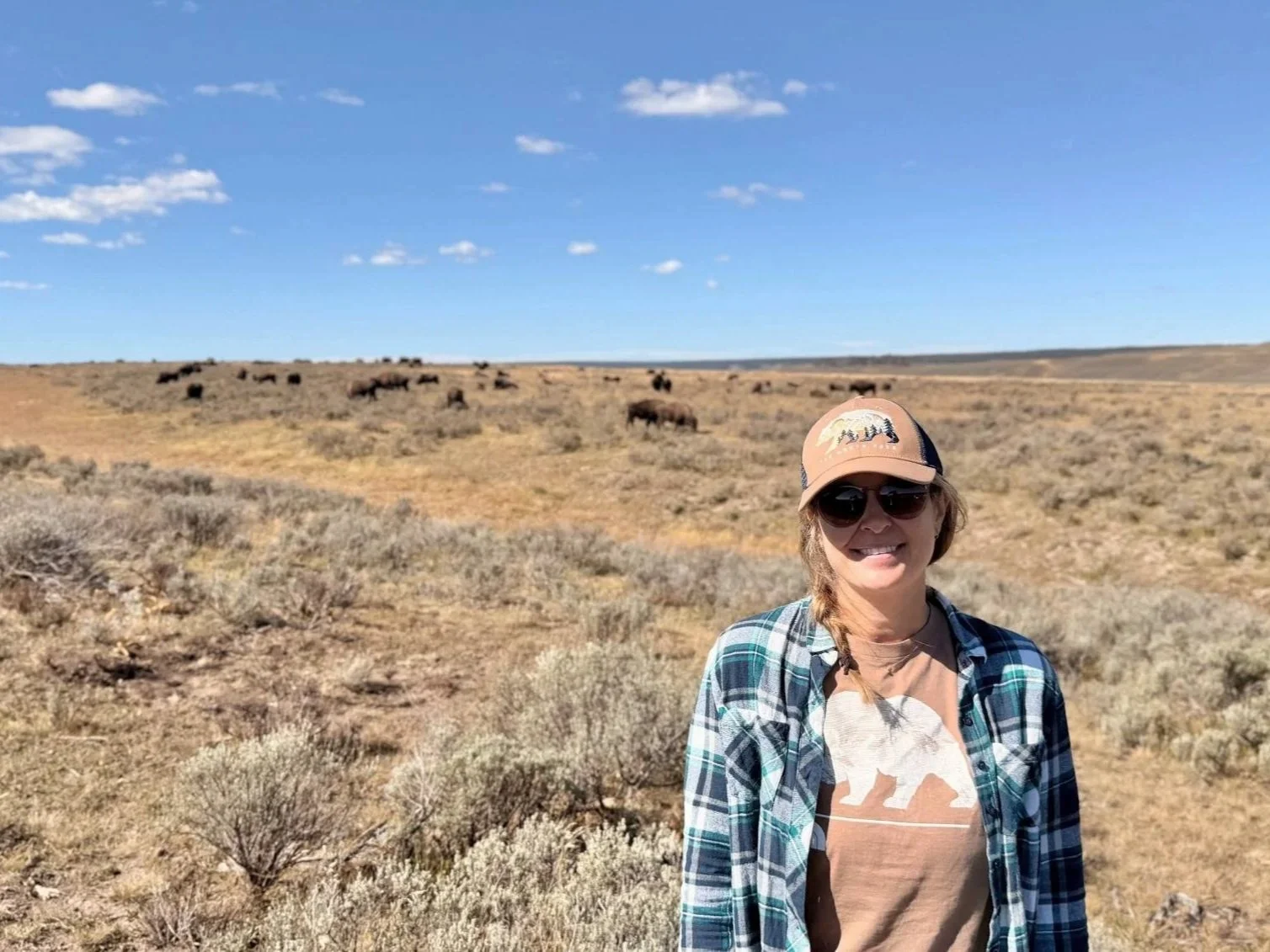 Things to Do in Yellowstone Without Hiking: Easy Walks, Geysers, and Wildlife