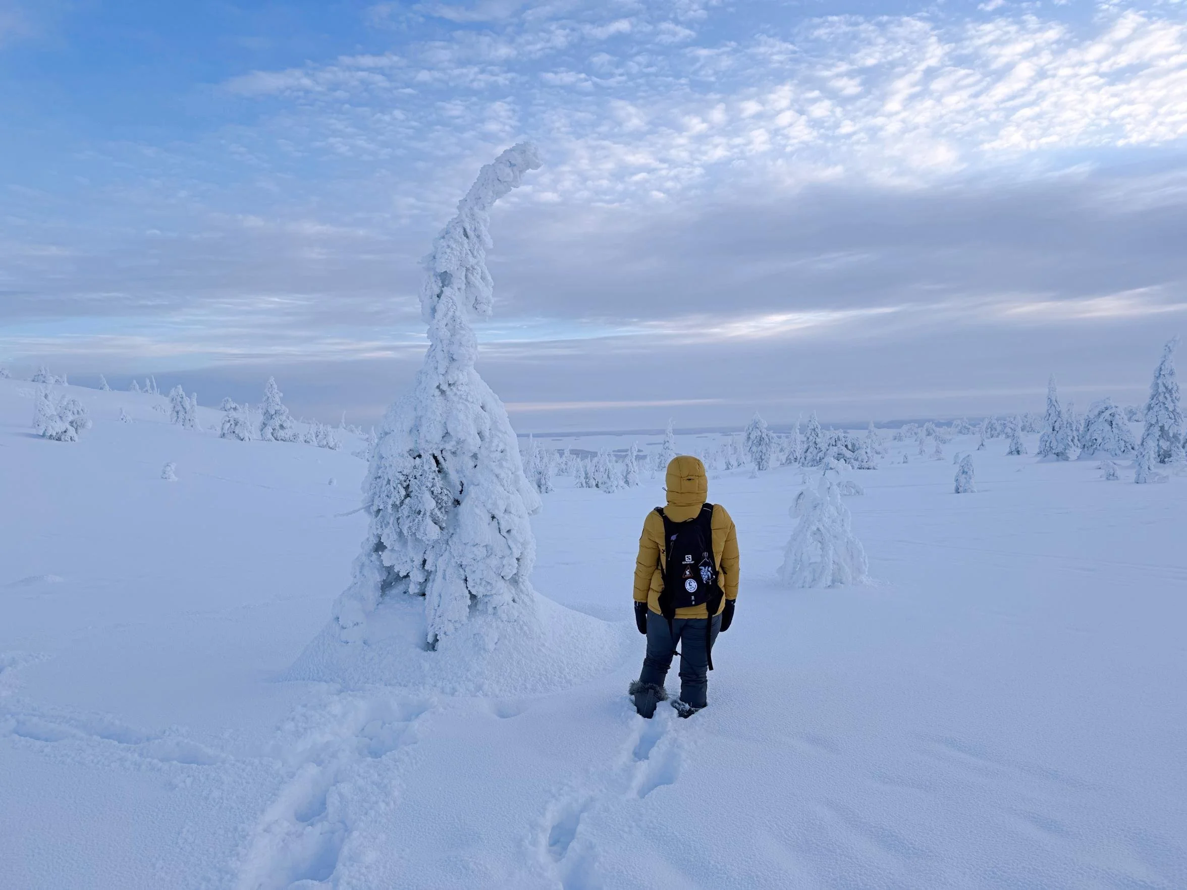 Best Time to Visit Lapland (Finland, Sweden &amp; Norway)