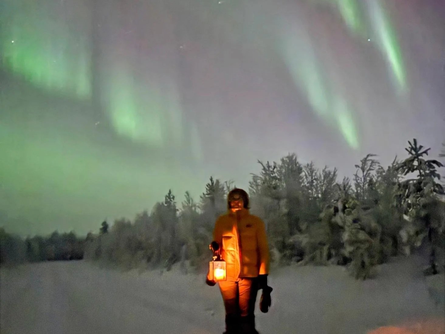 Northern Lights Tours in Lapland, Finland: How to Choose