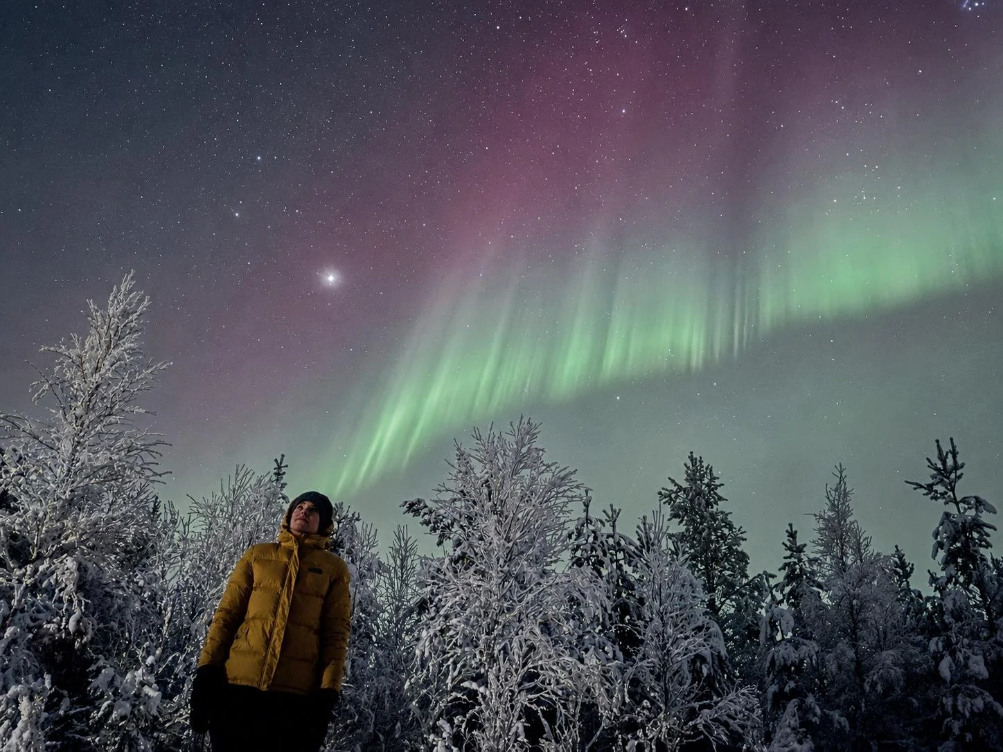 Northern Lights Tours in Sweden: How to Choose