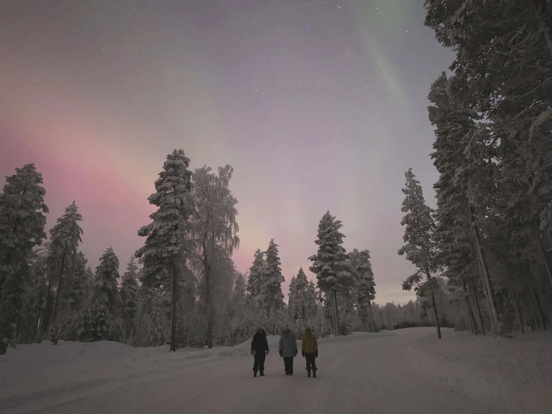 How to See the Northern Lights in Rovaniemi: With or Without a Car