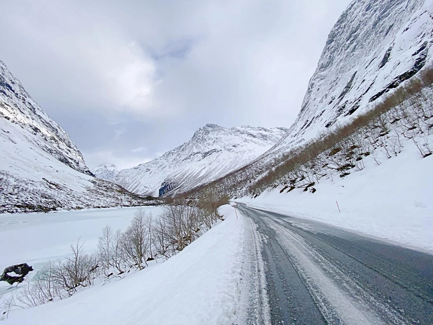 Do You Need a Car in Alta, Norway? Driving vs Tours, Honestly Explained