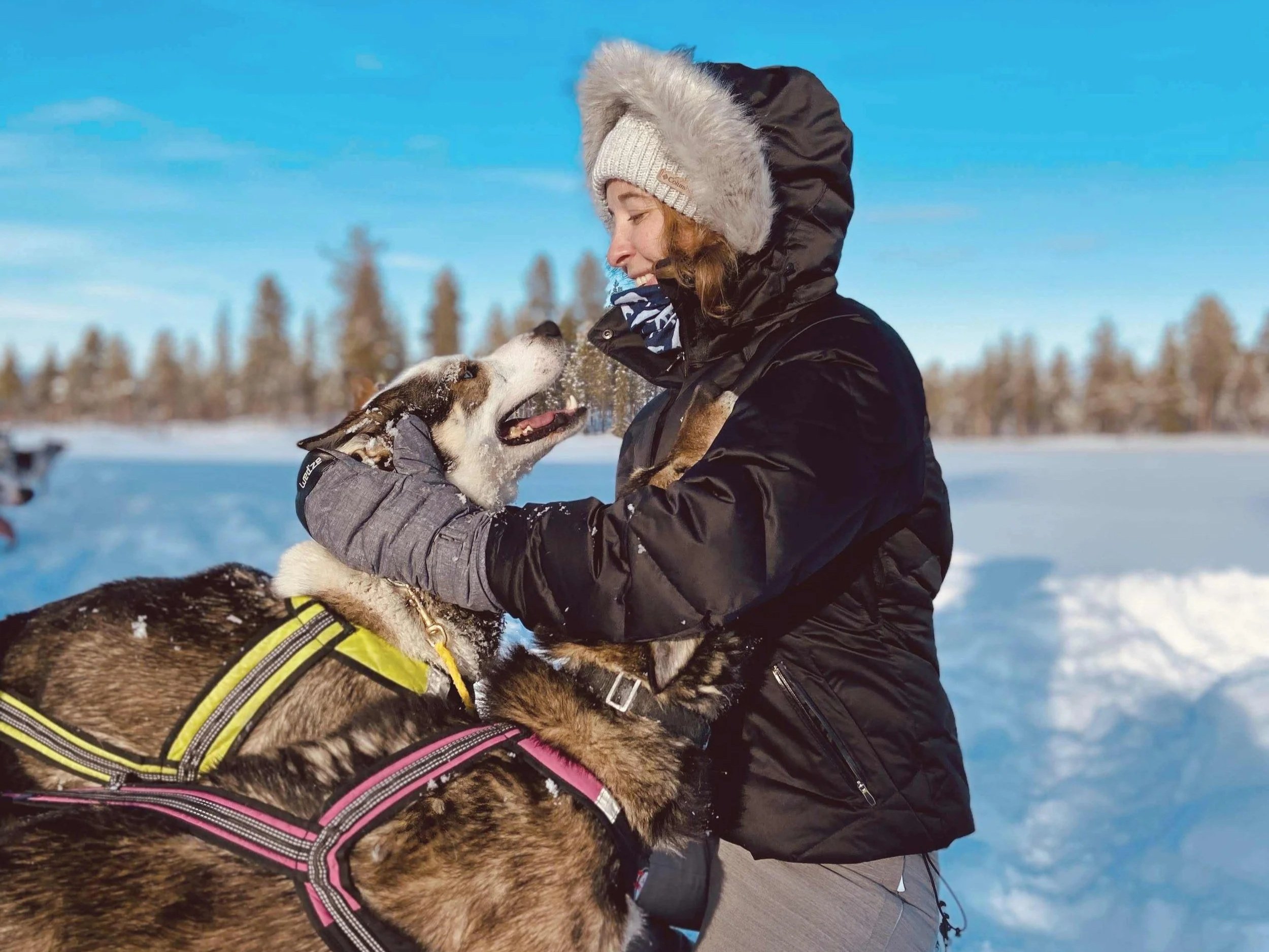 Tromsø vs. Rovaniemi vs. Kiruna: Which Arctic Hub Should You Visit?