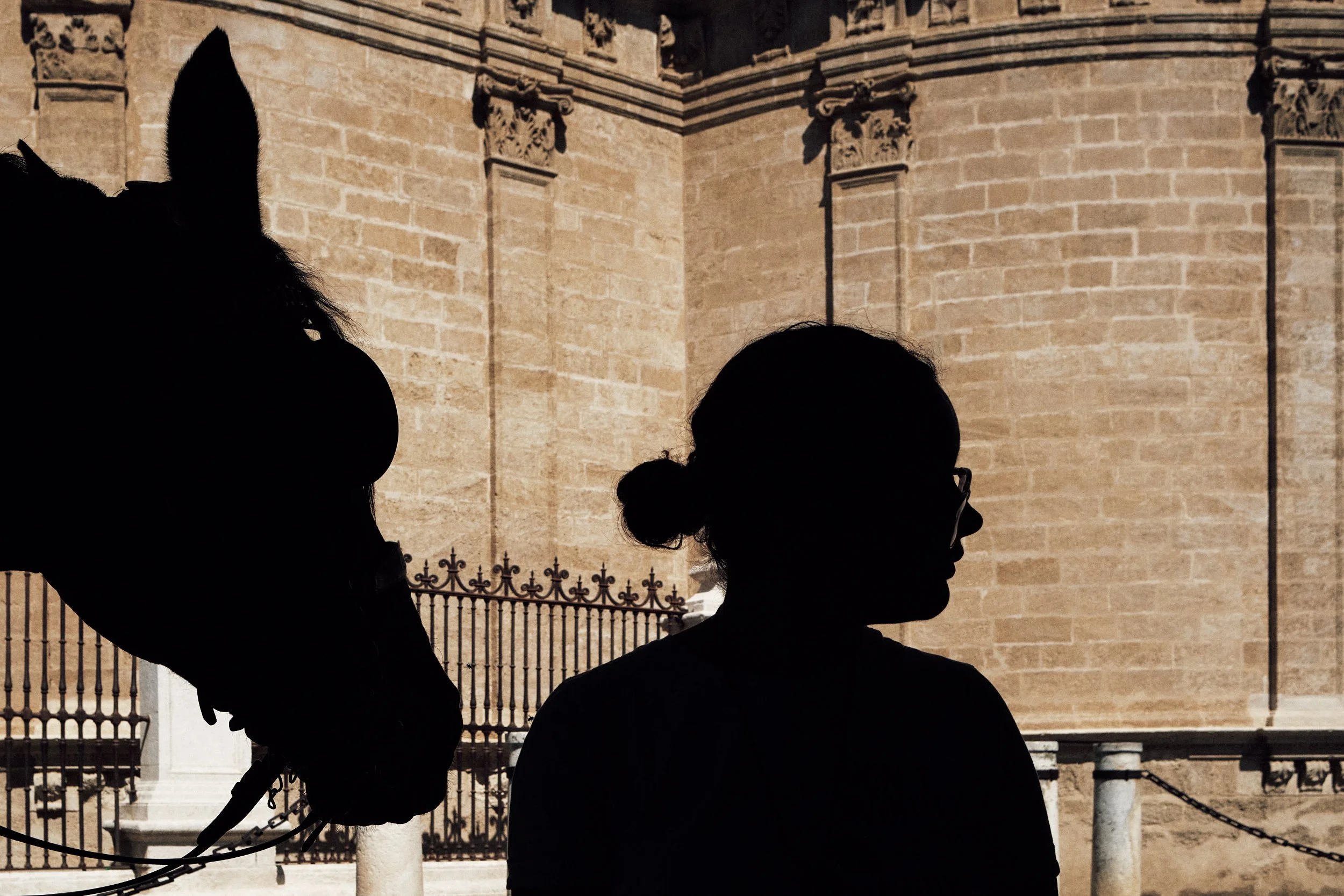 Siviglia_SP72x2500 5.jpg