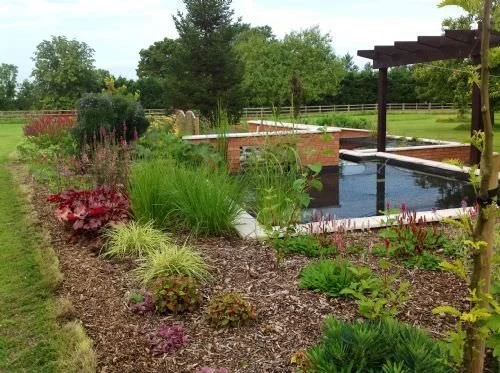 pond_med optimised.jfif