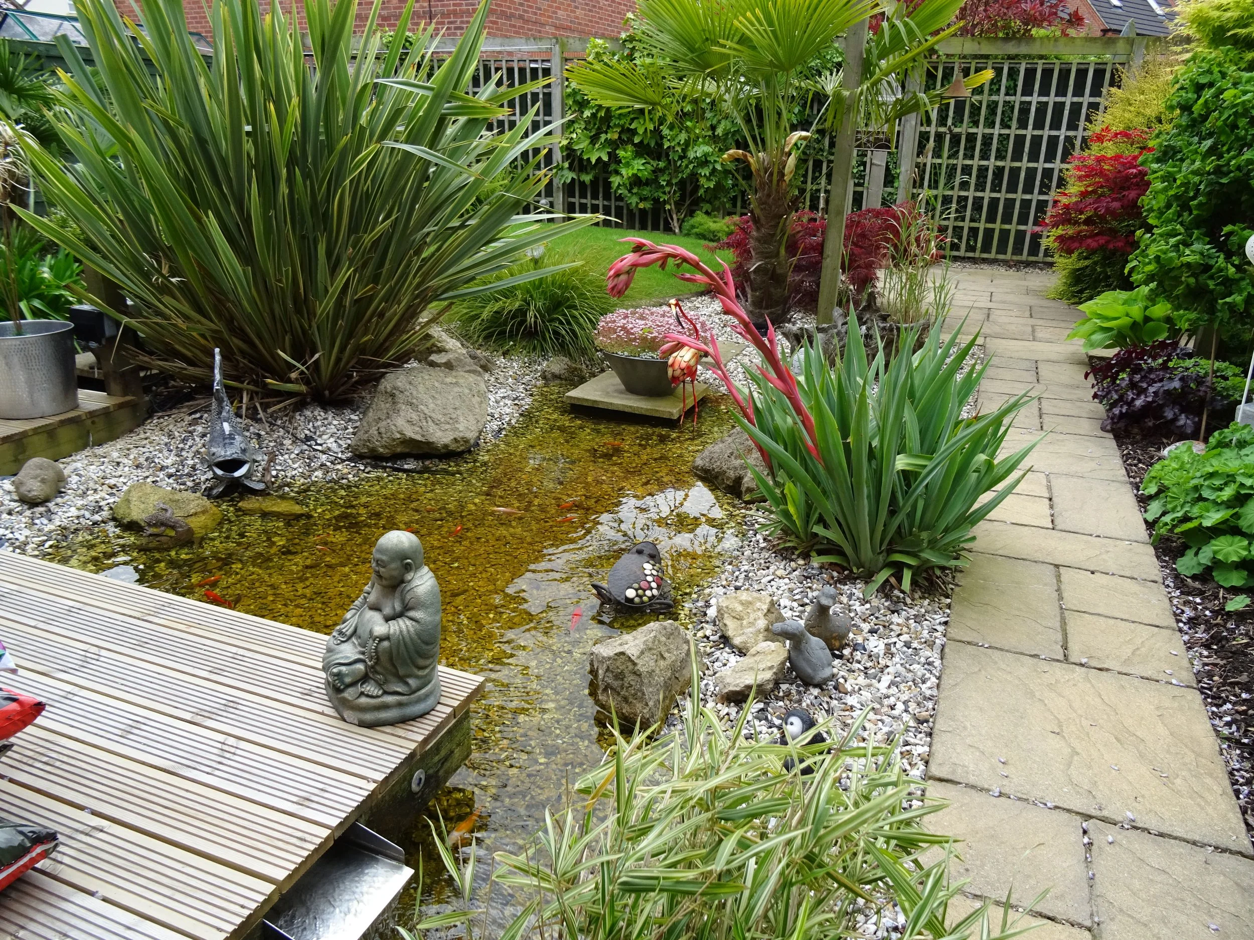 Bayley optimised.JPG