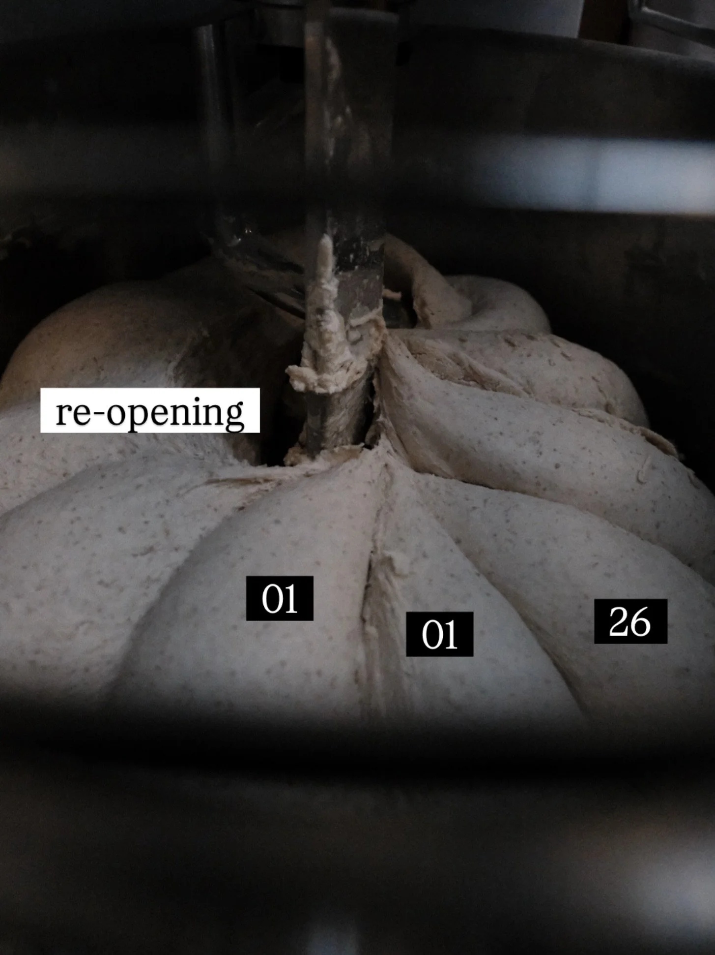 Come along. Or Dont.