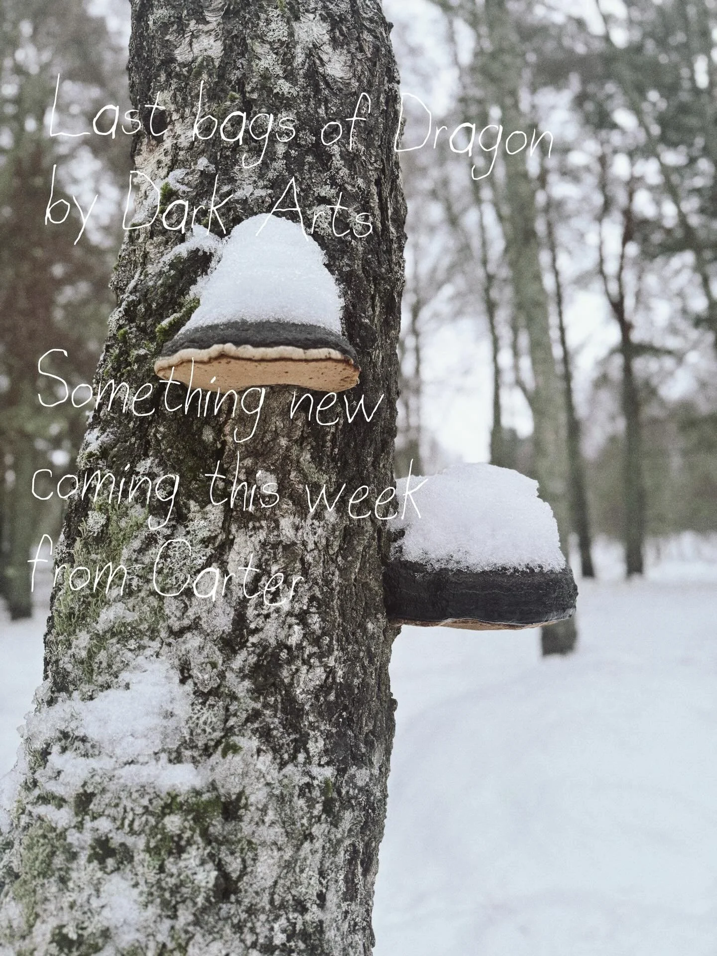 If you&rsquo;ve been enjoying the dragon recently, then now is your last chance before we move onto something a little bit fruitier from @carter__coffee