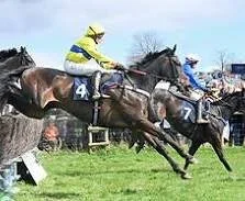North Cotswolds Point to Point