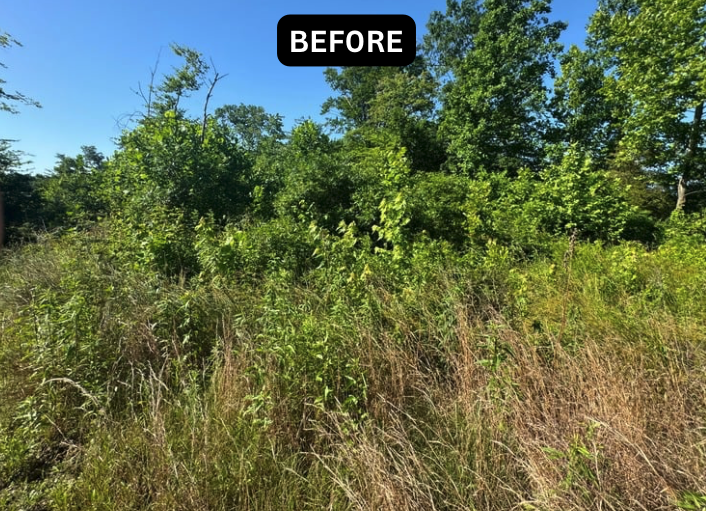 Screenshot 2024-06-10 at 3.25.51 PM.png