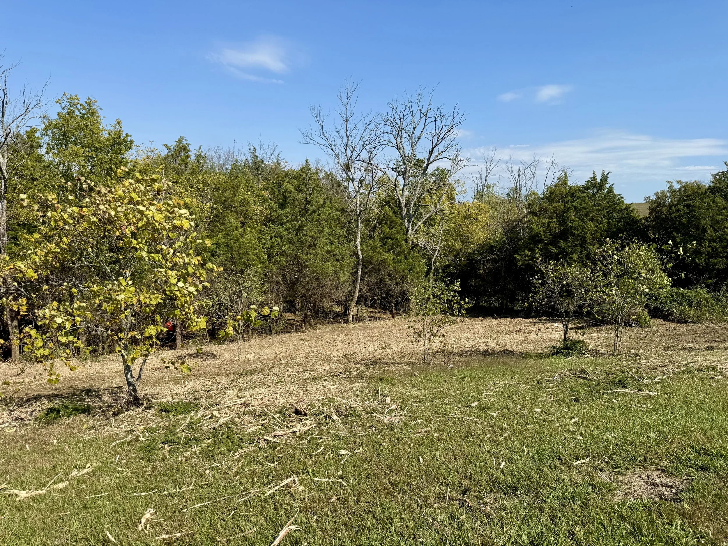 FullSizeRender (2).jpeg