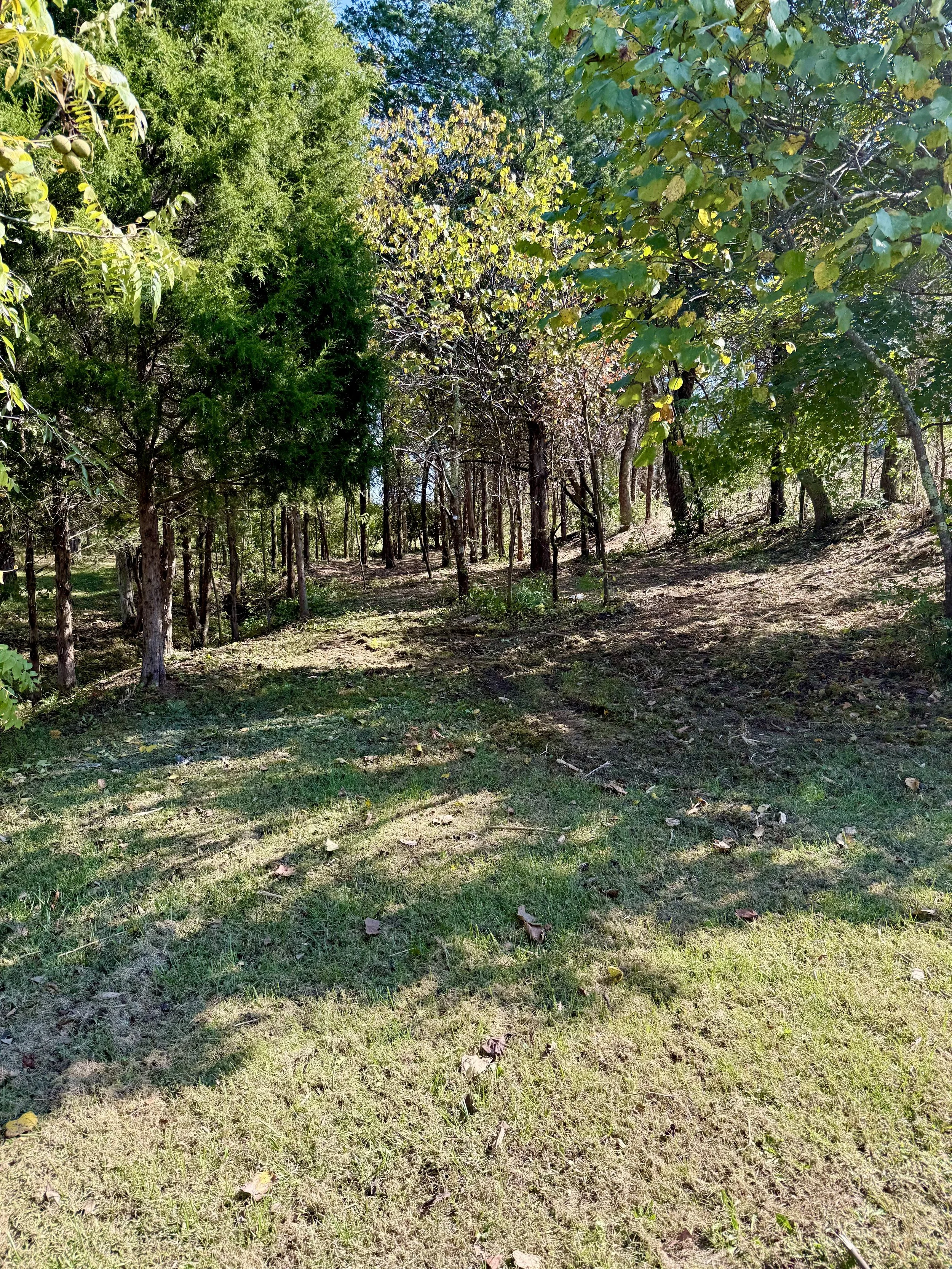 FullSizeRender (1).jpeg