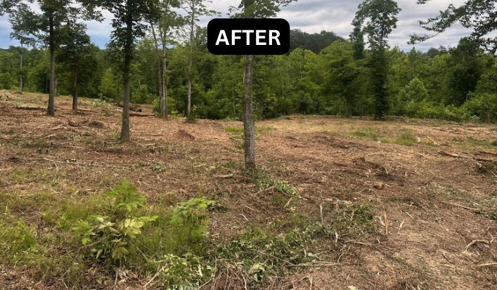 Screenshot 2024-06-10 at 3.25.37 PM.png