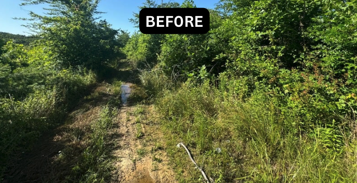 Screenshot 2024-06-10 at 3.26.12 PM.png