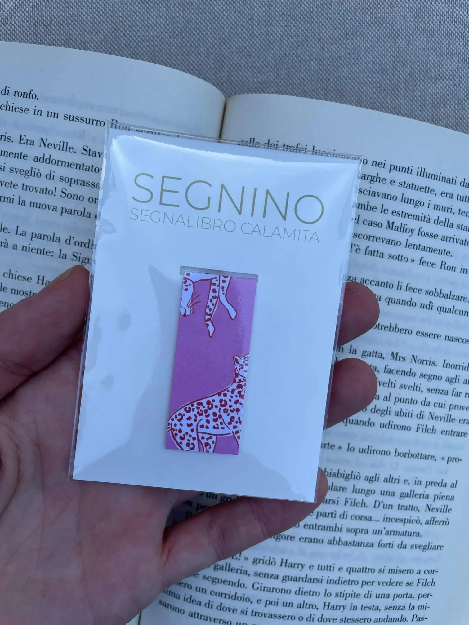 SEGNINO PICCOLO leopardi 2