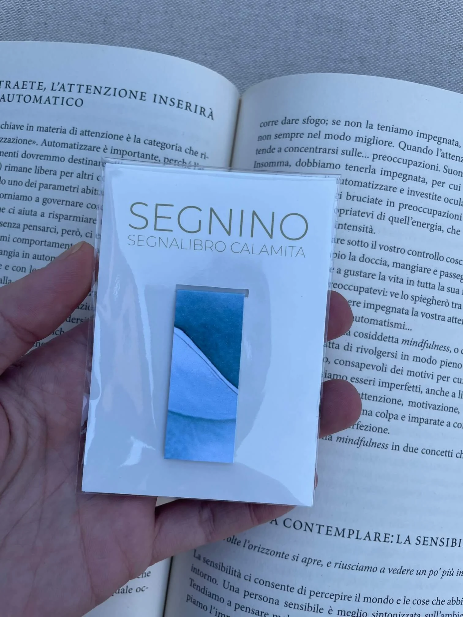 SEGNINO PICCOLO onde 3