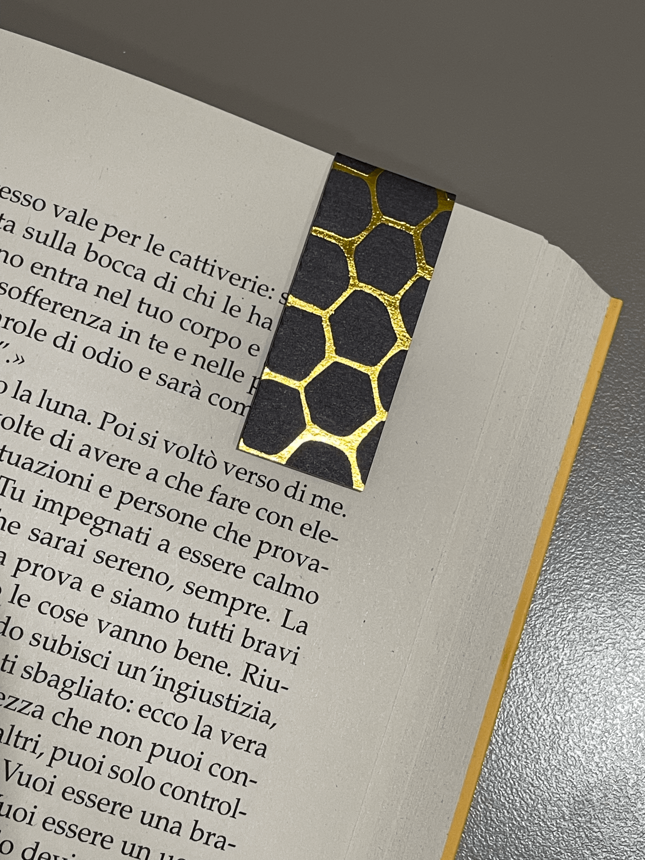 SEGNINO PICCOLO alveare oro 2