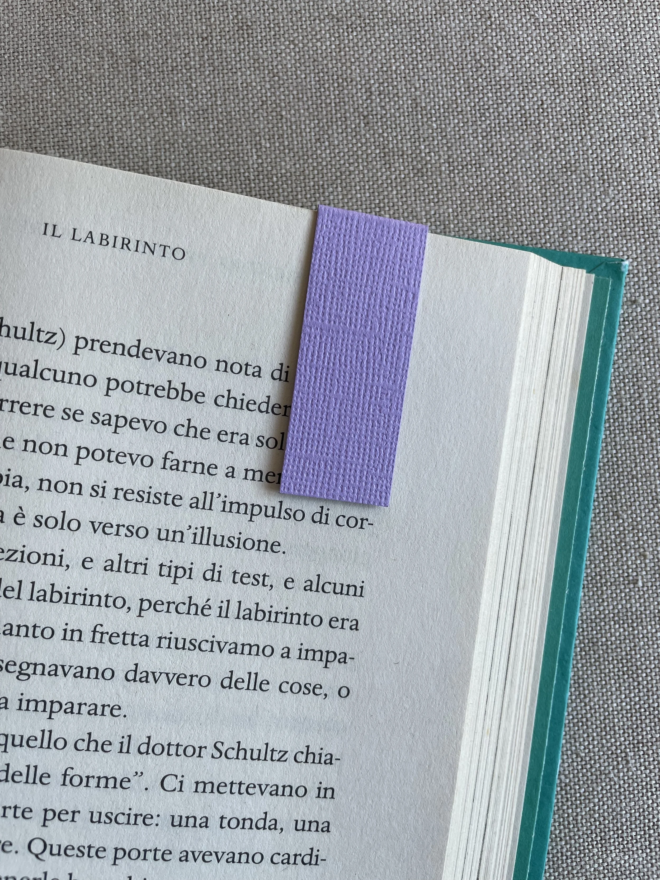 Foto 08-12-25, 11 00 53.jpg