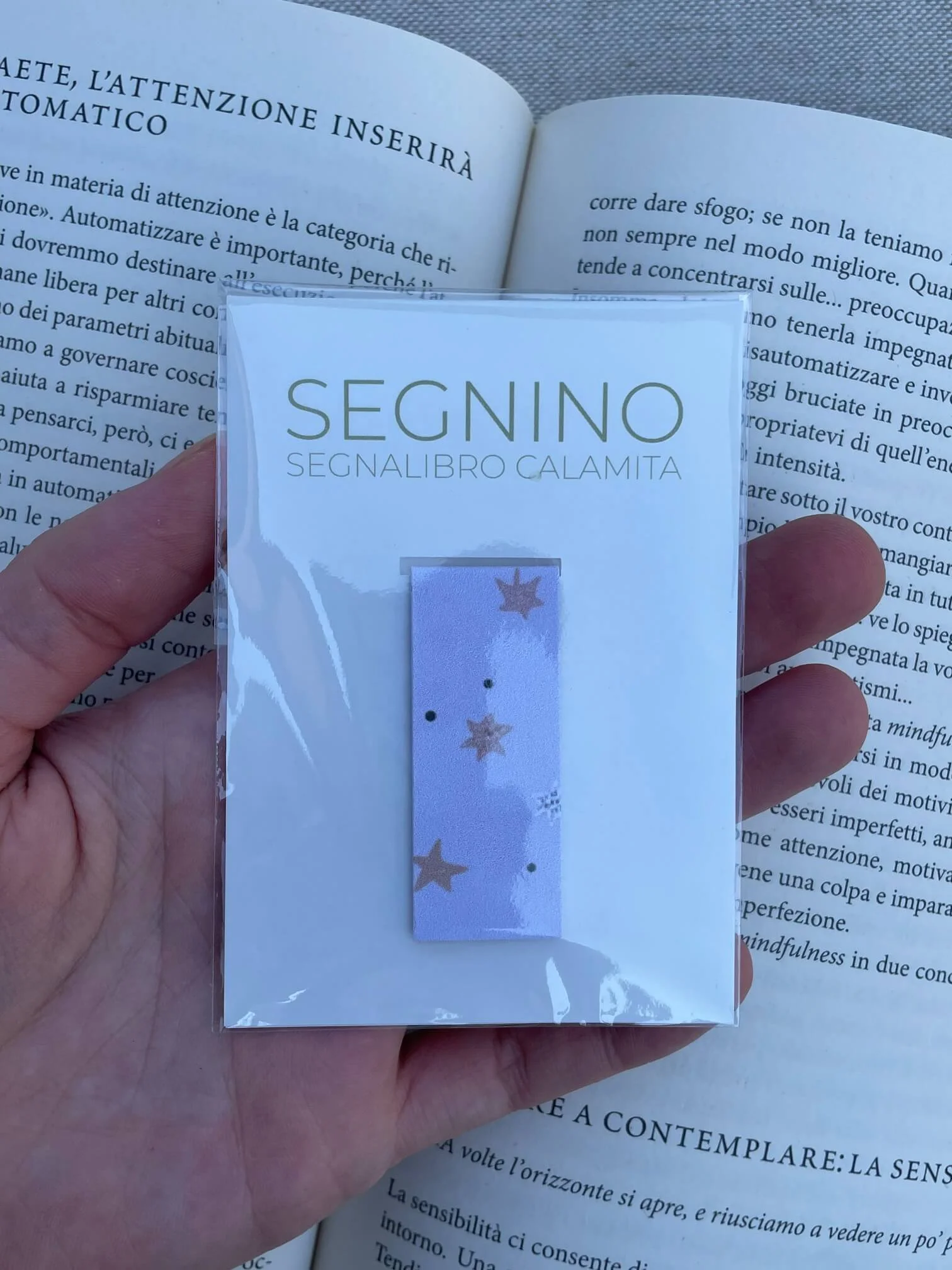 SEGNINO PICCOLO stelline