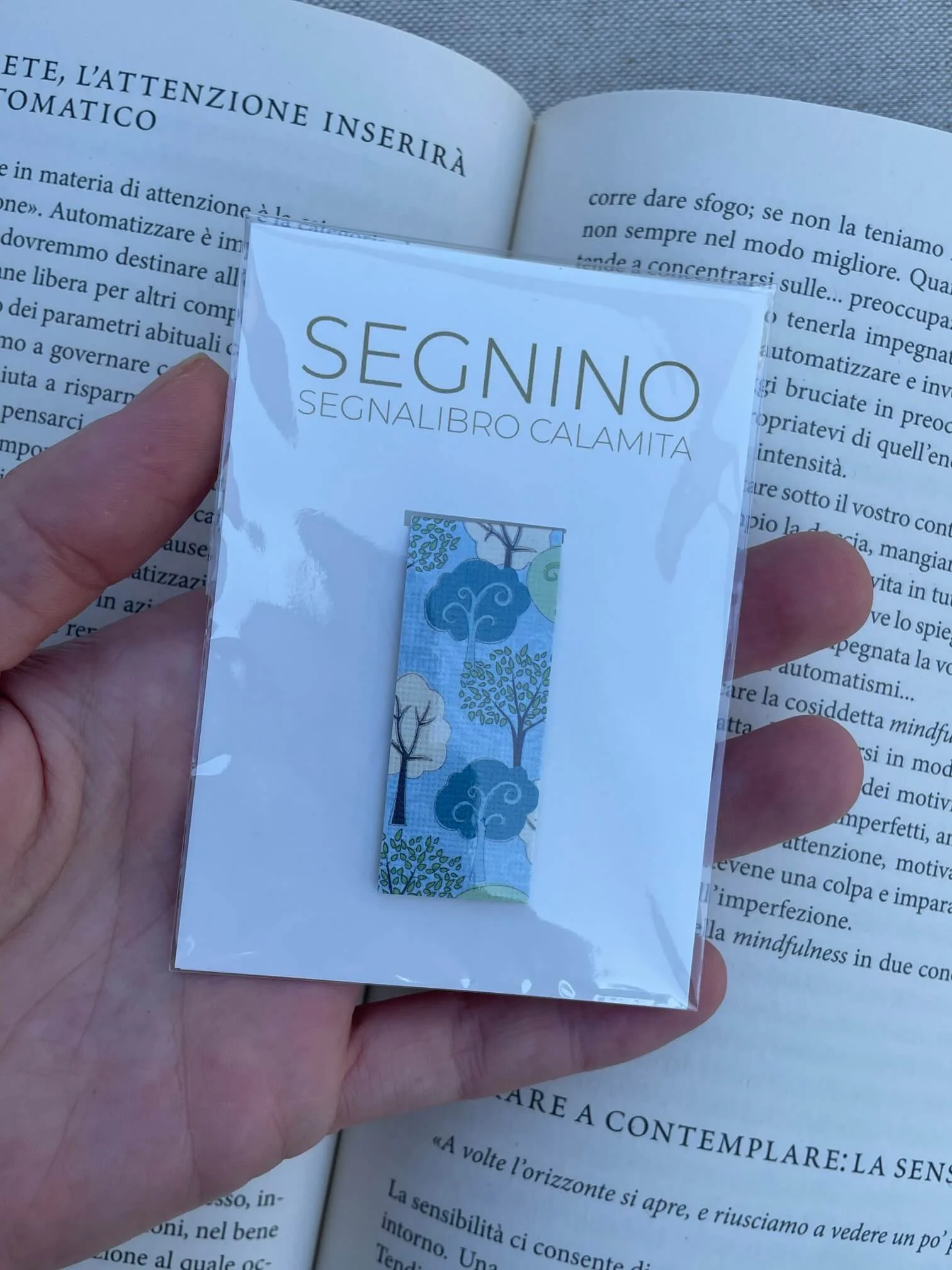 SEGNINO PICCOLO alberelli