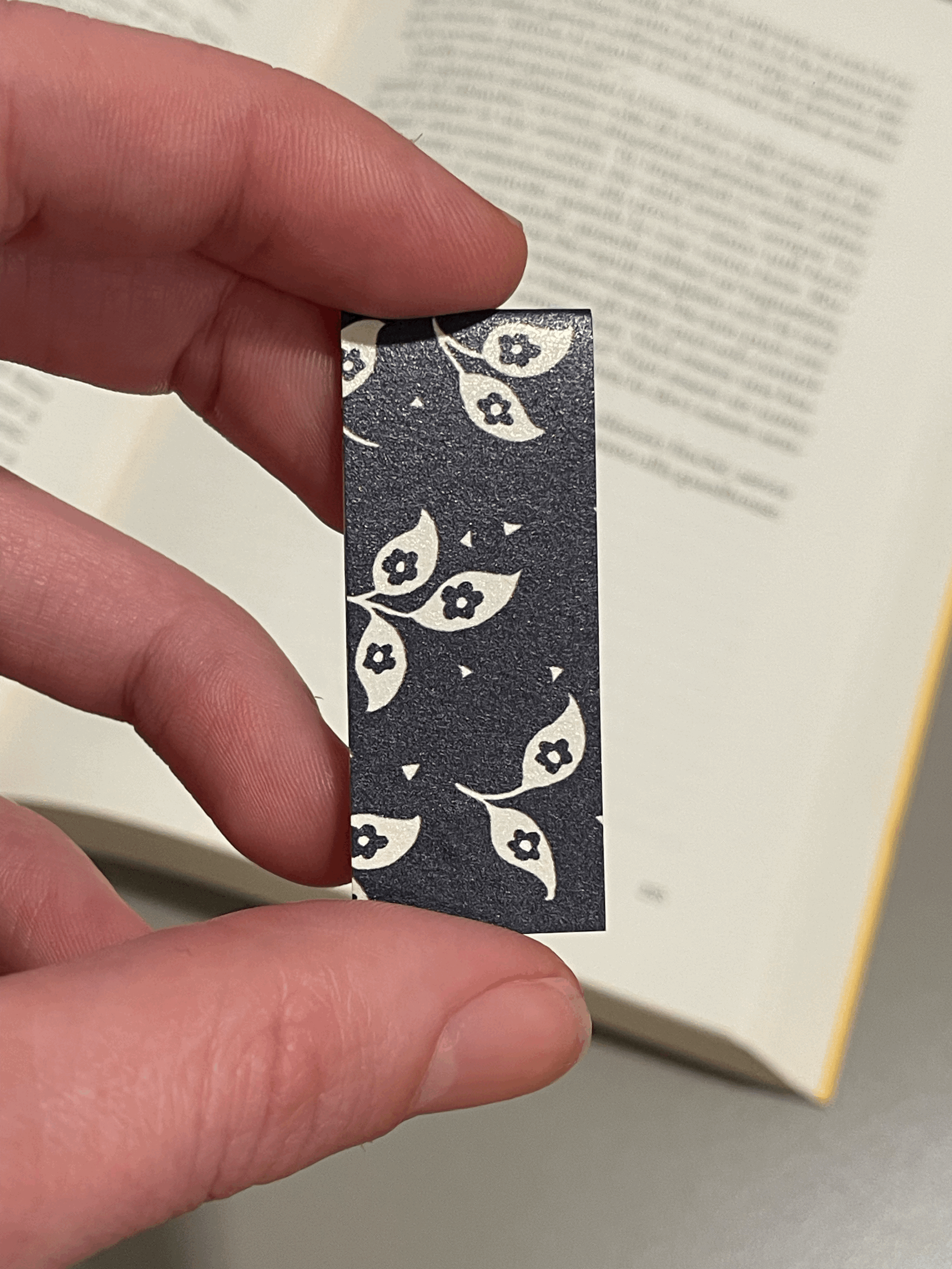 SEGNINO PICCOLO scuro 2