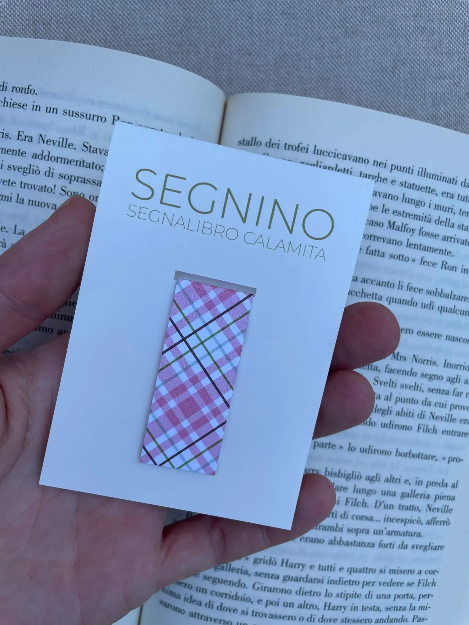 SEGNINO PICCOLO scozzese