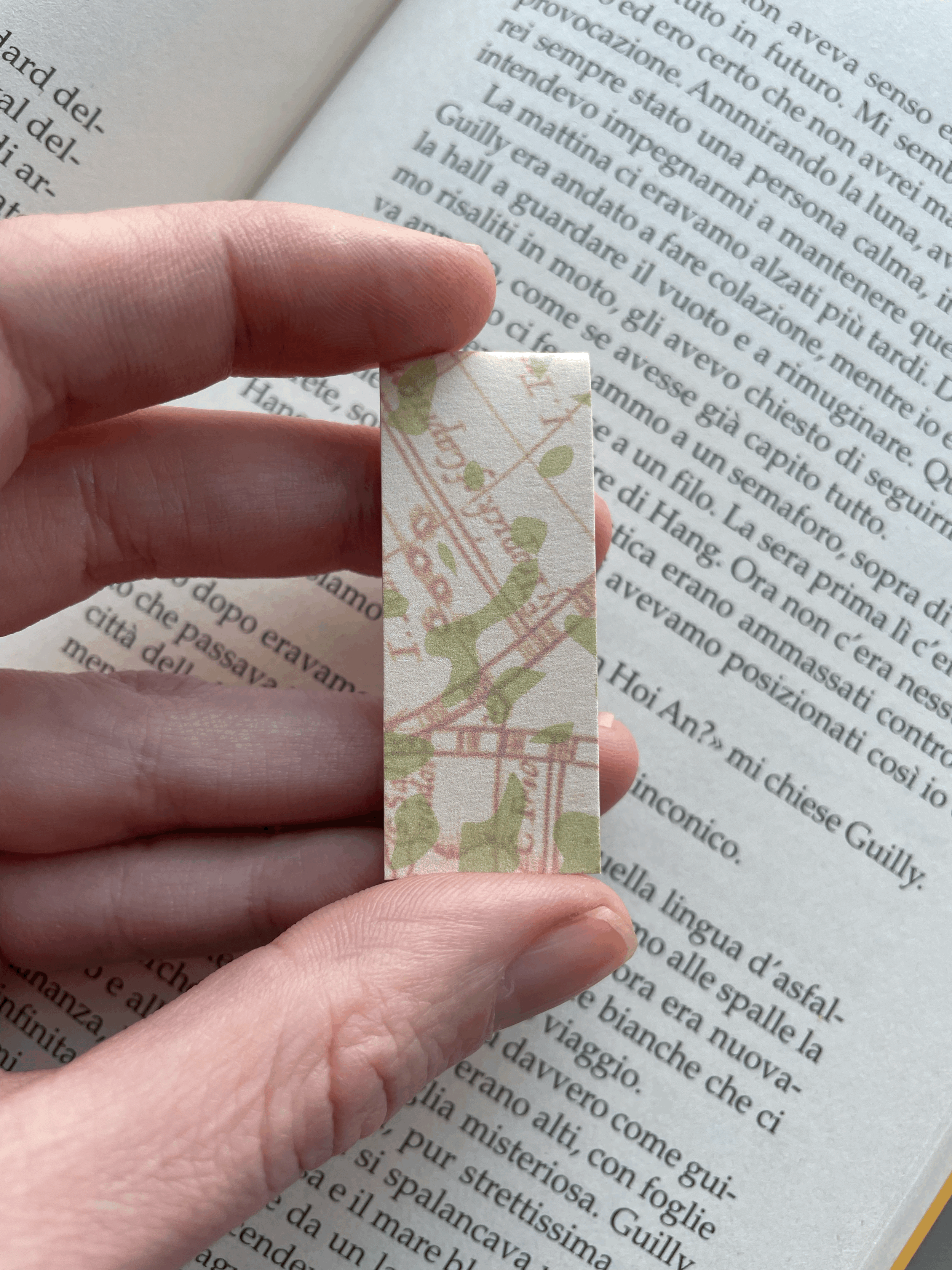 SEGNINO PICCOLO viaggio 6