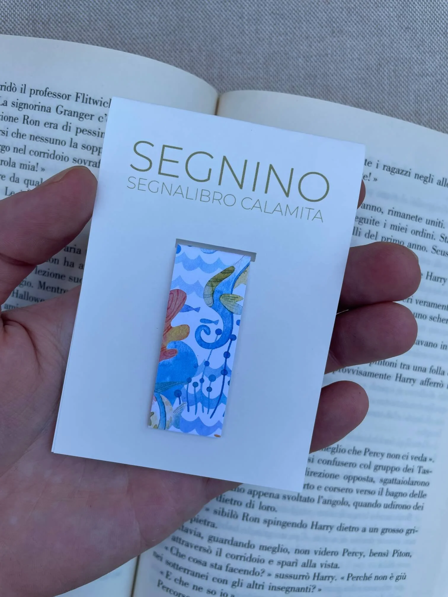 SEGNINO PICCOLO mare