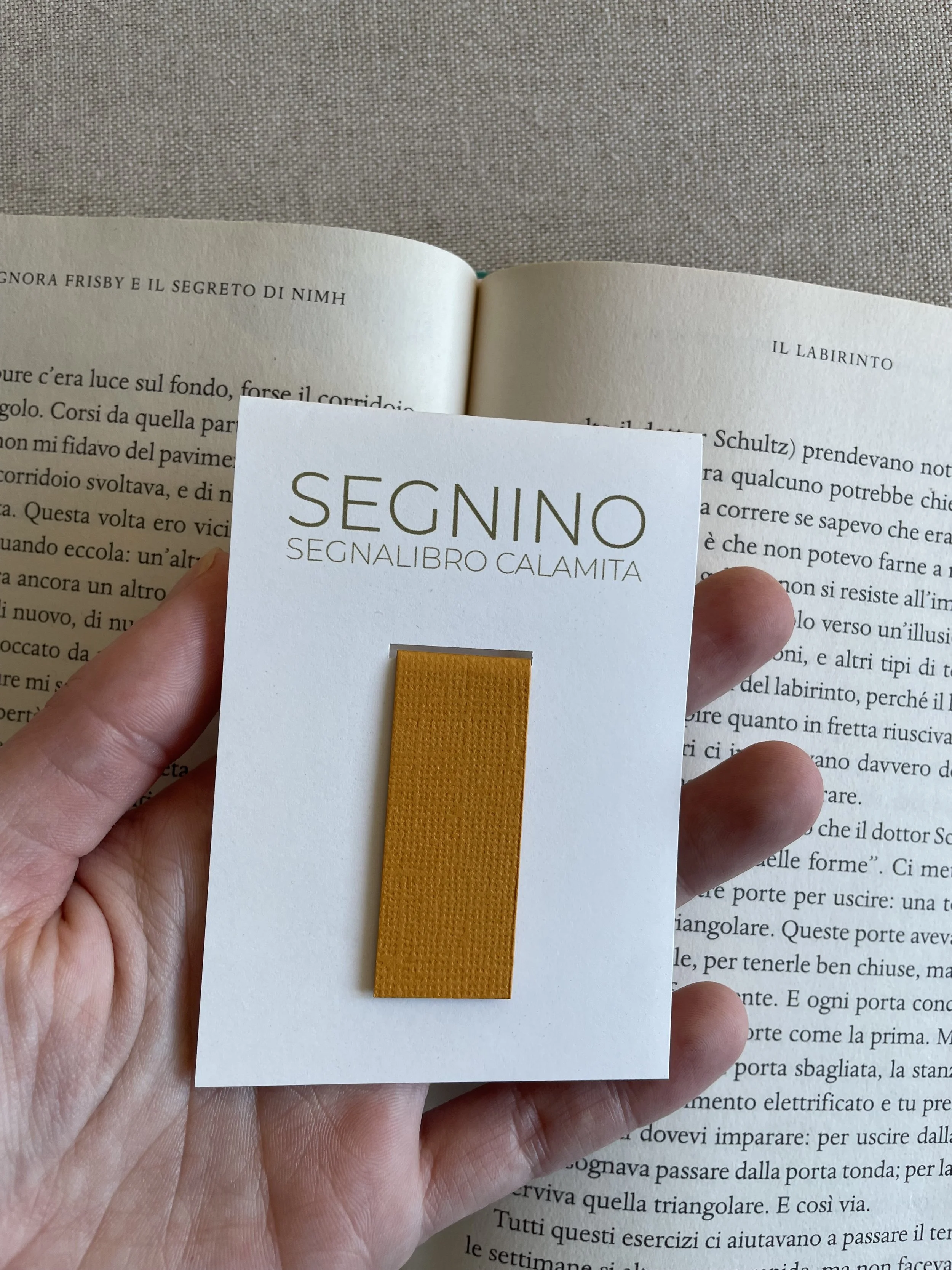 Foto 08-12-25, 12 15 12.jpg