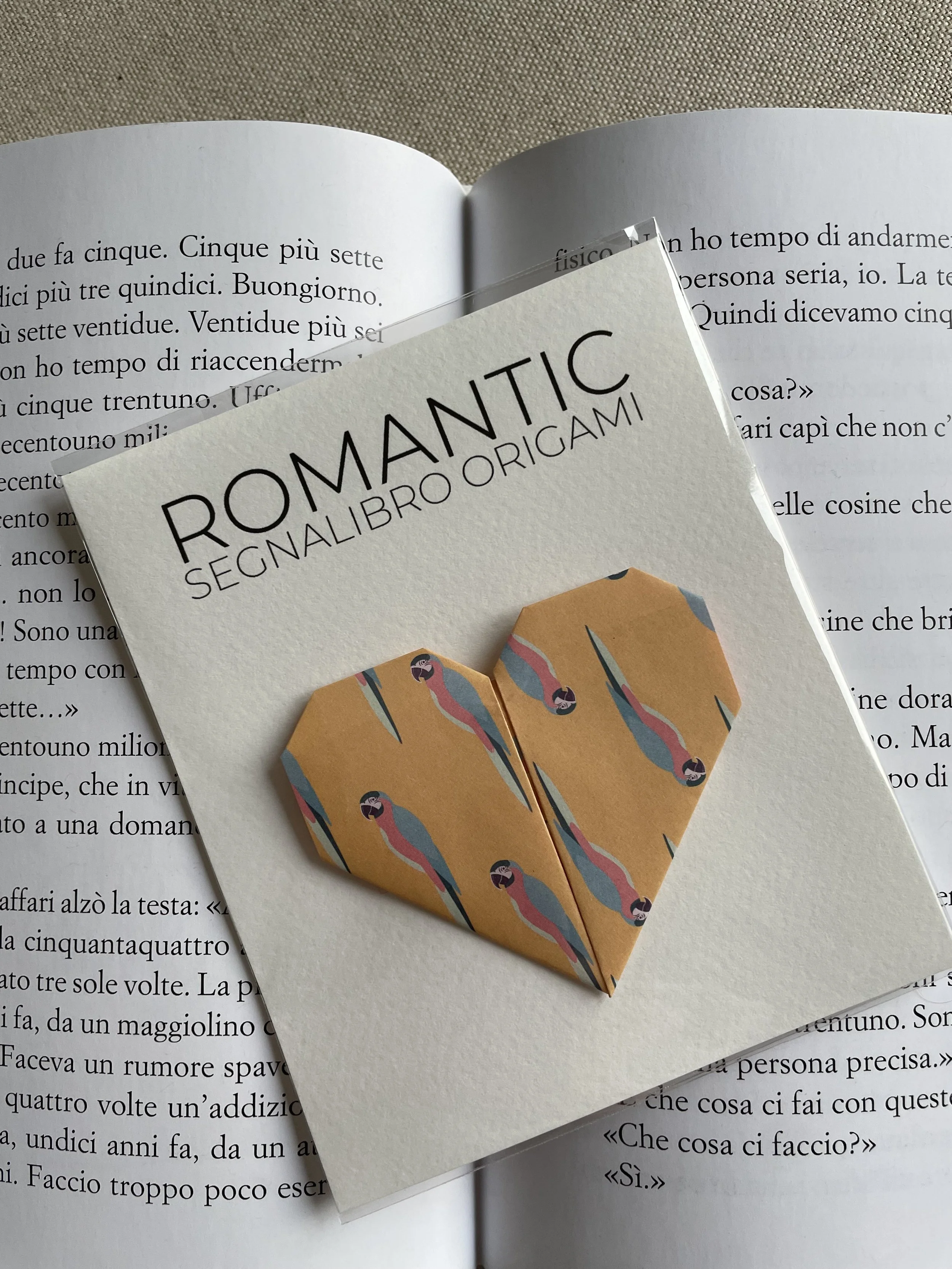 Foto 17-12-25, 10 32 31.jpg