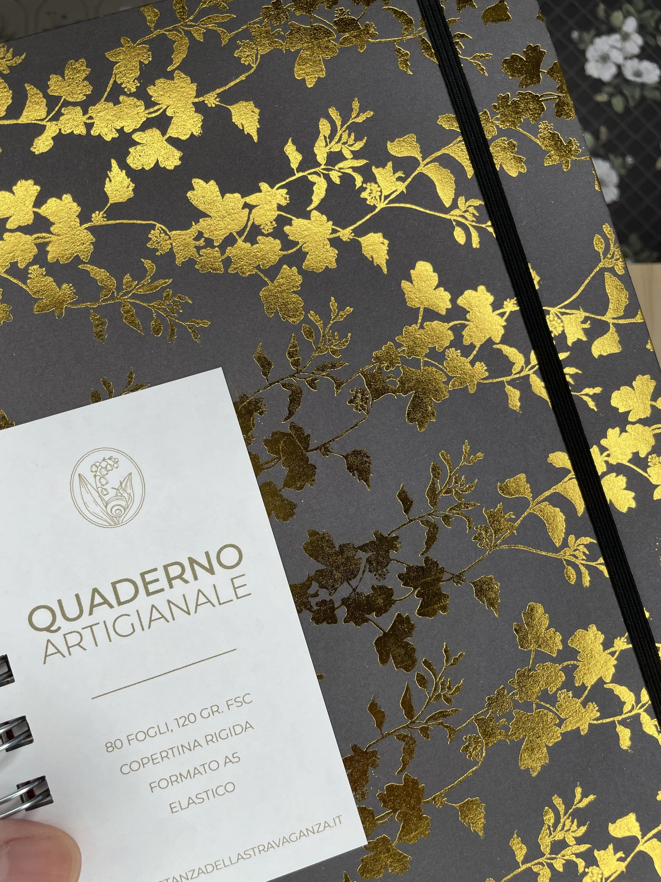 Foto 17-12-25, 11 09 24.jpg