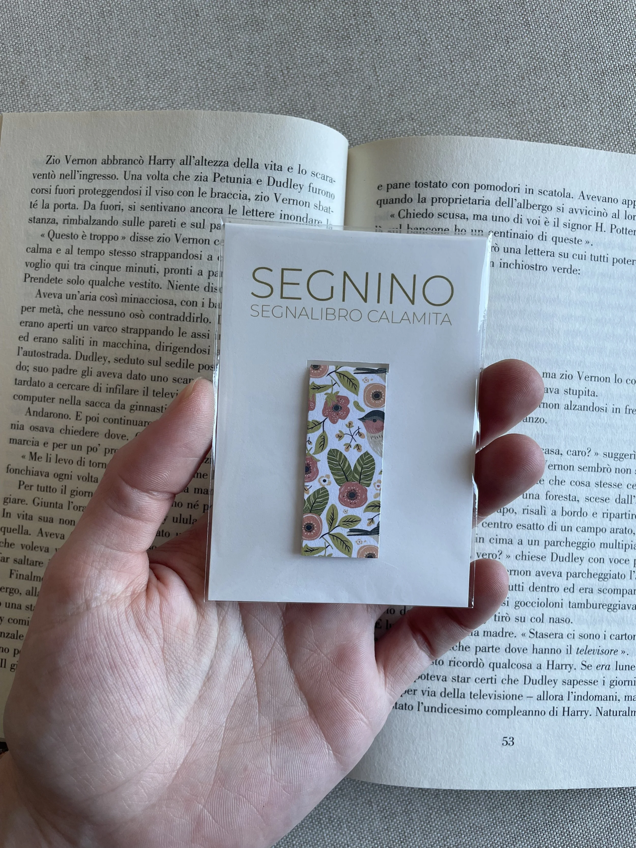SEGNINO PICCOLO uccellini