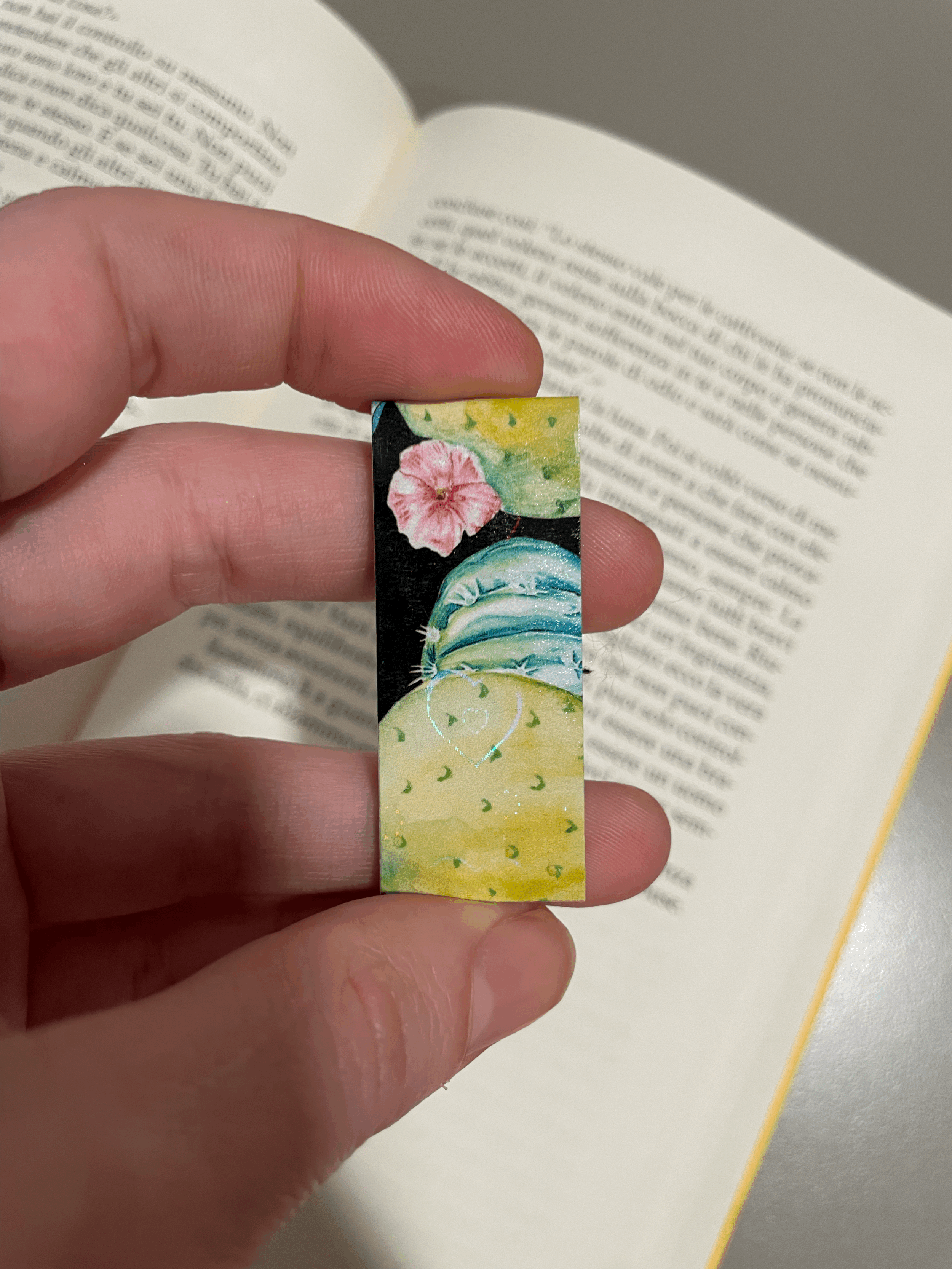 SEGNINO PICCOLO cactus