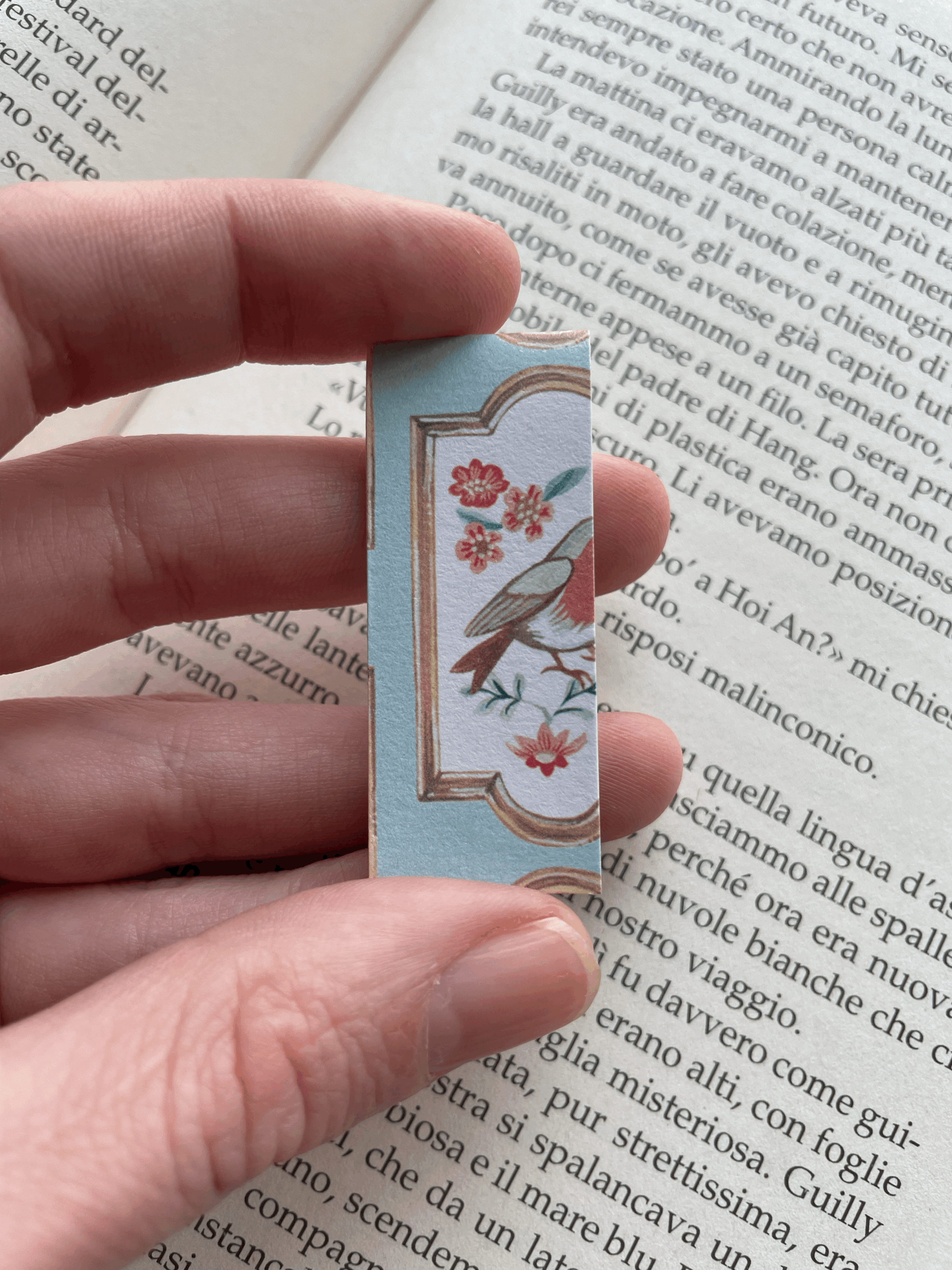 SEGNINO PICCOLO cornici 3