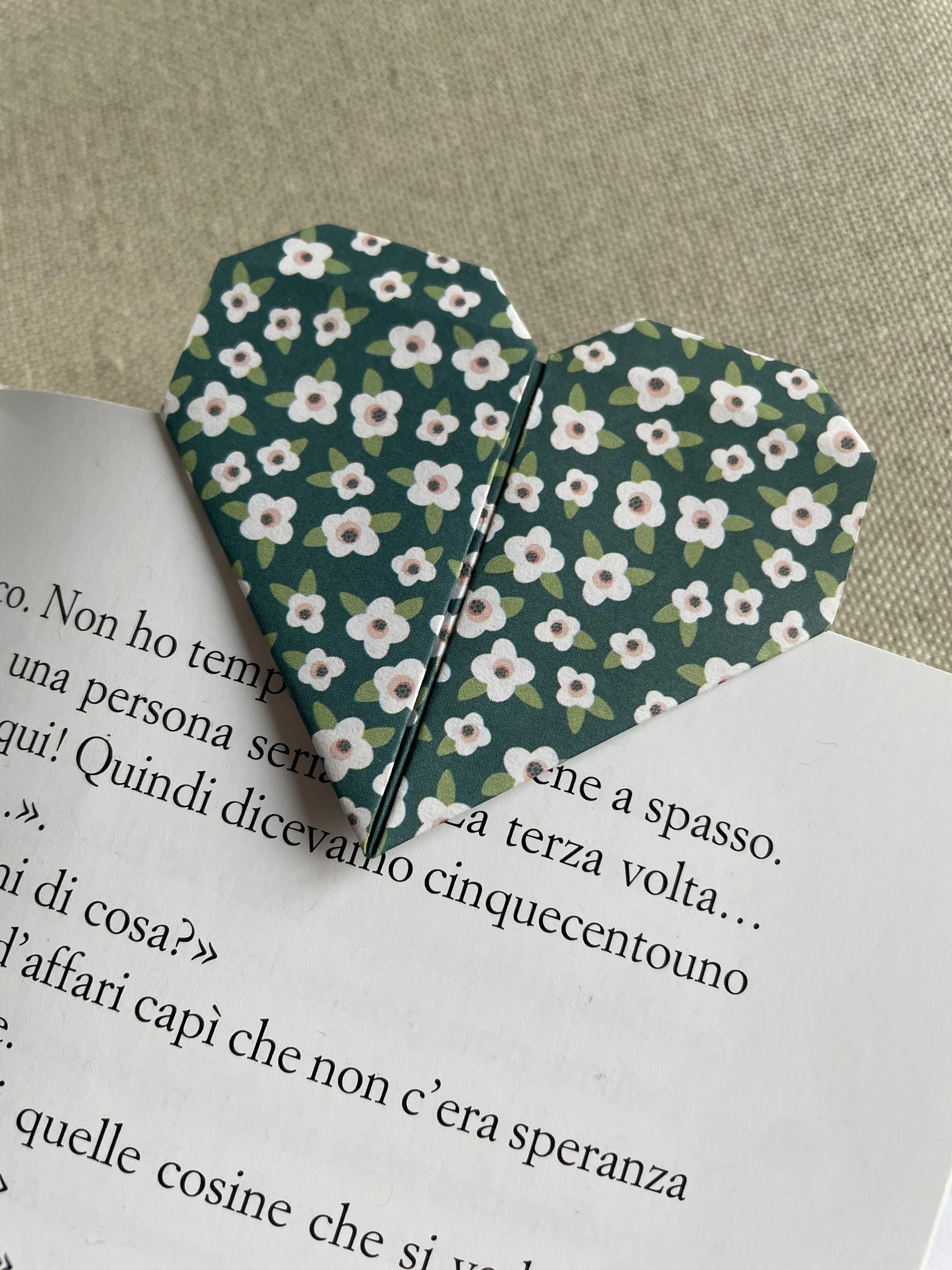 Foto 17-12-25, 10 31 11.jpg