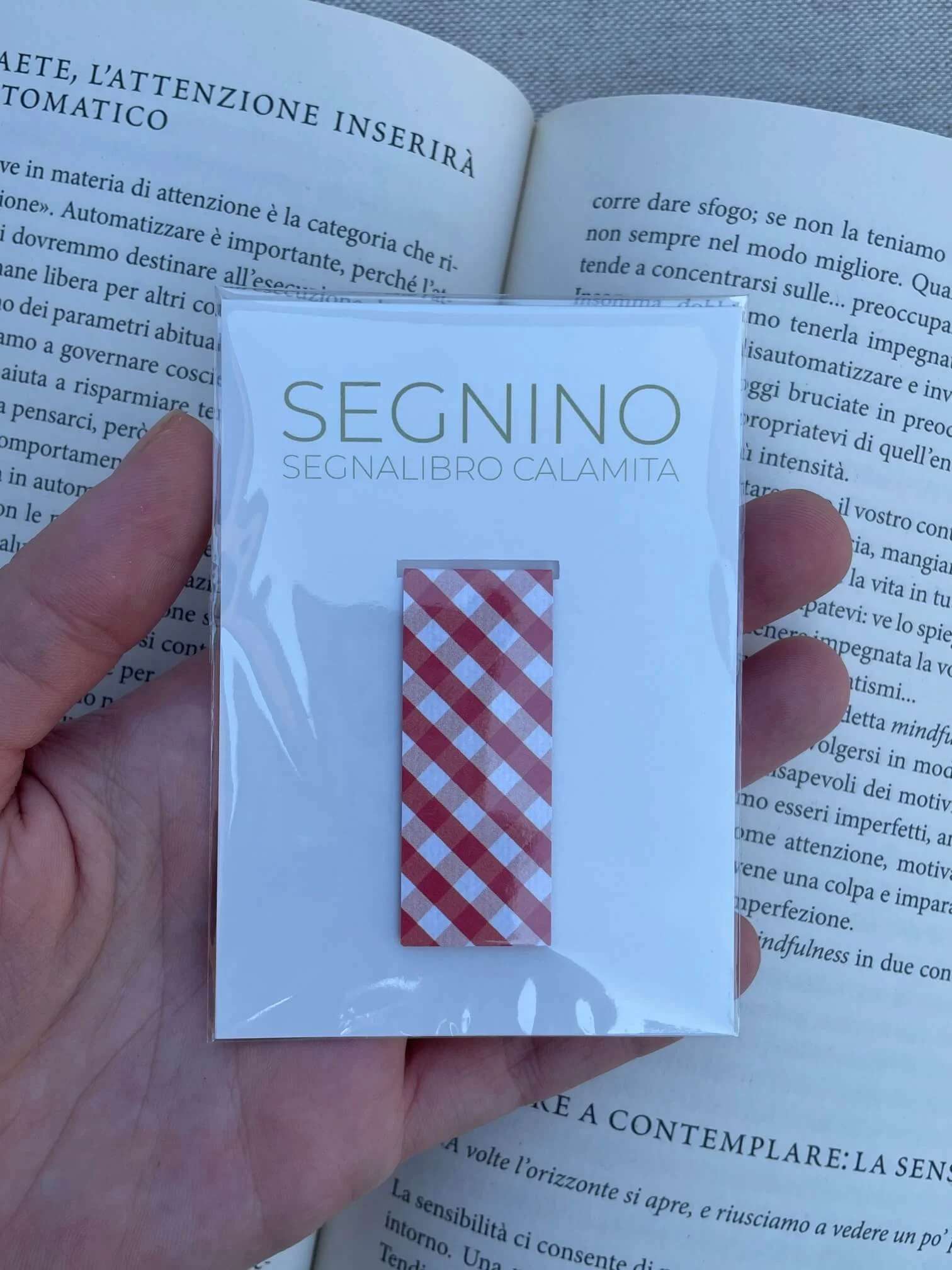 SEGNINO PICCOLO pic nic