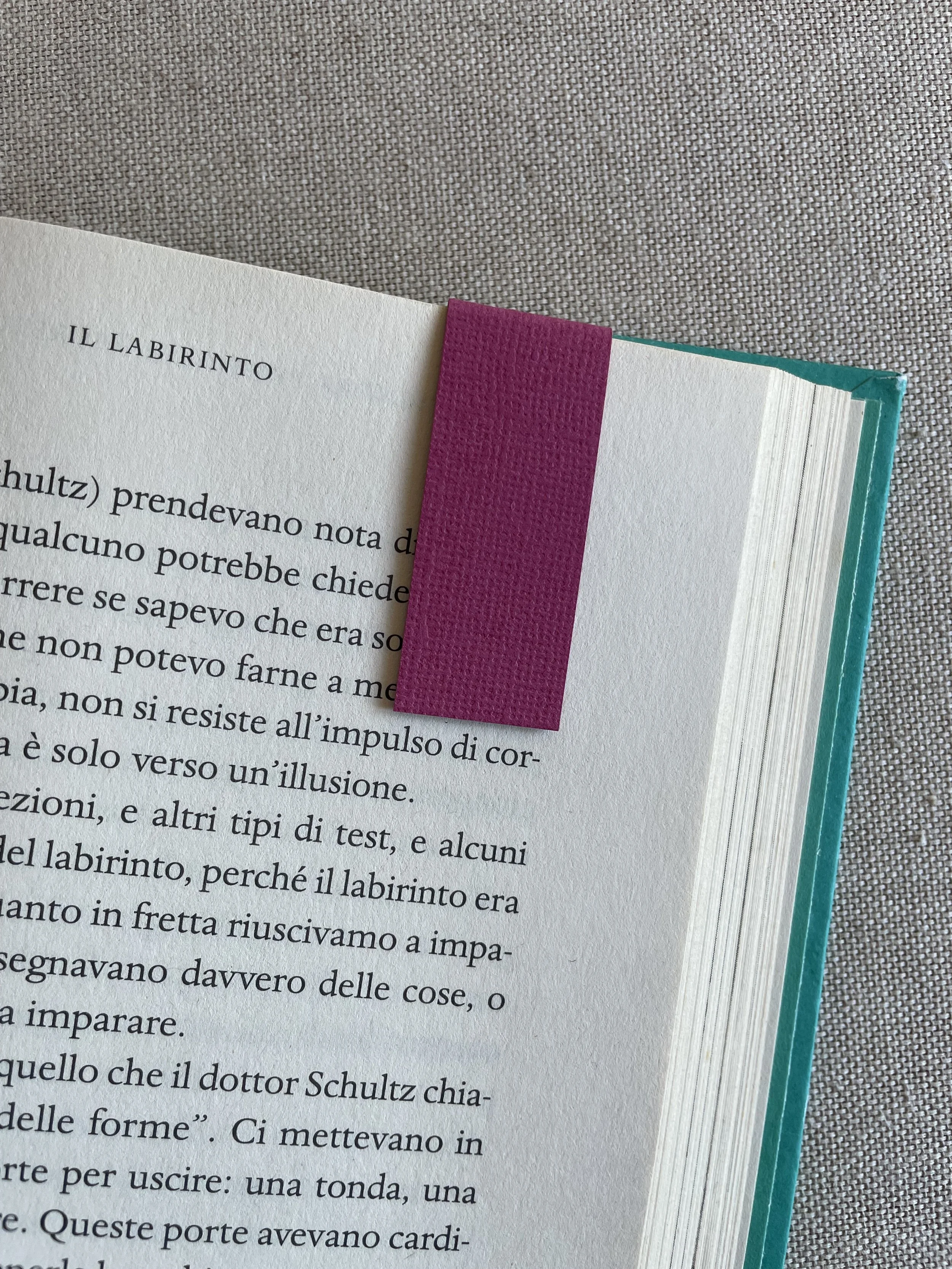 Foto 08-12-25, 11 02 45.jpg